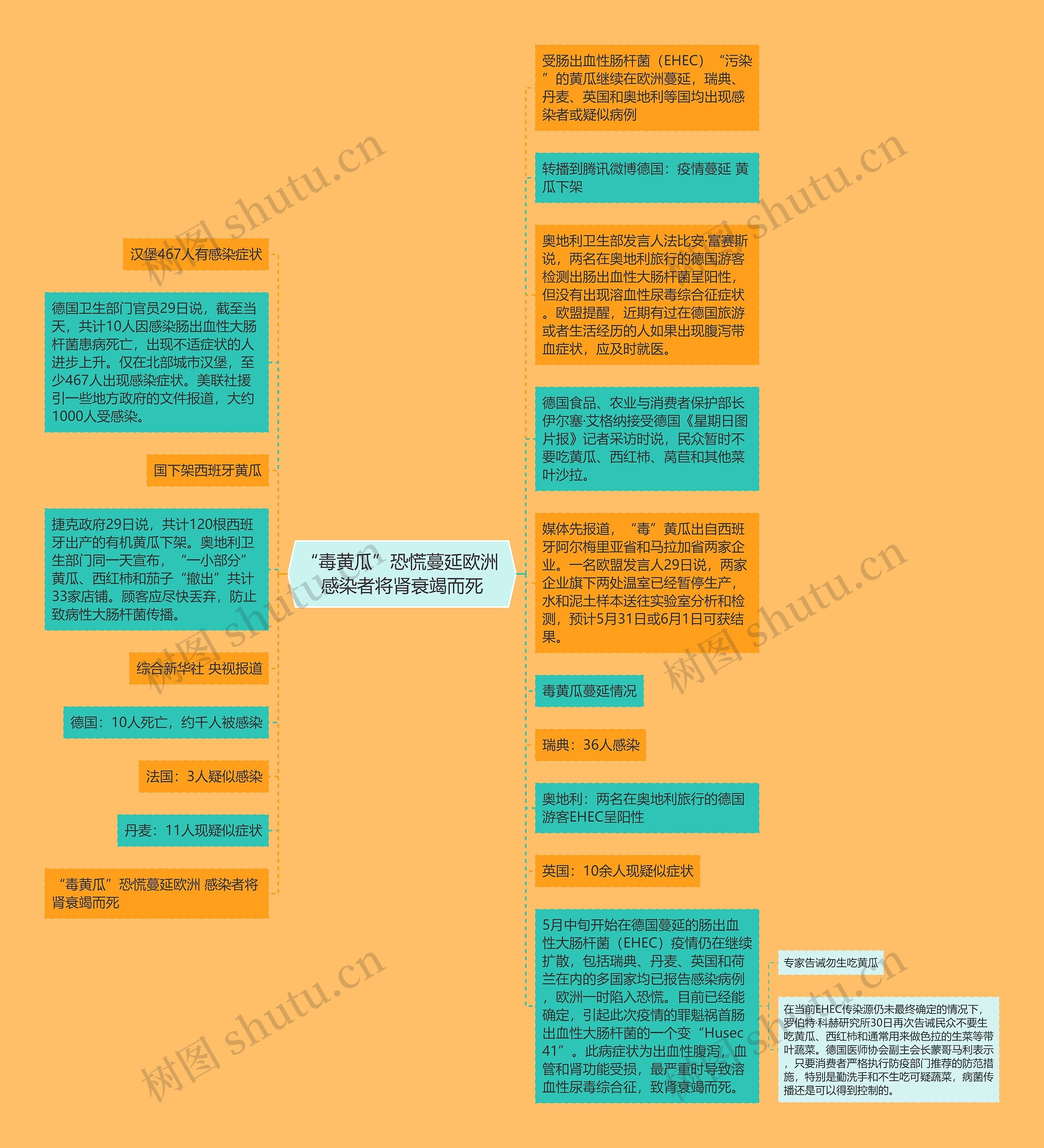 “毒黄瓜”恐慌蔓延欧洲 感染者将肾衰竭而死