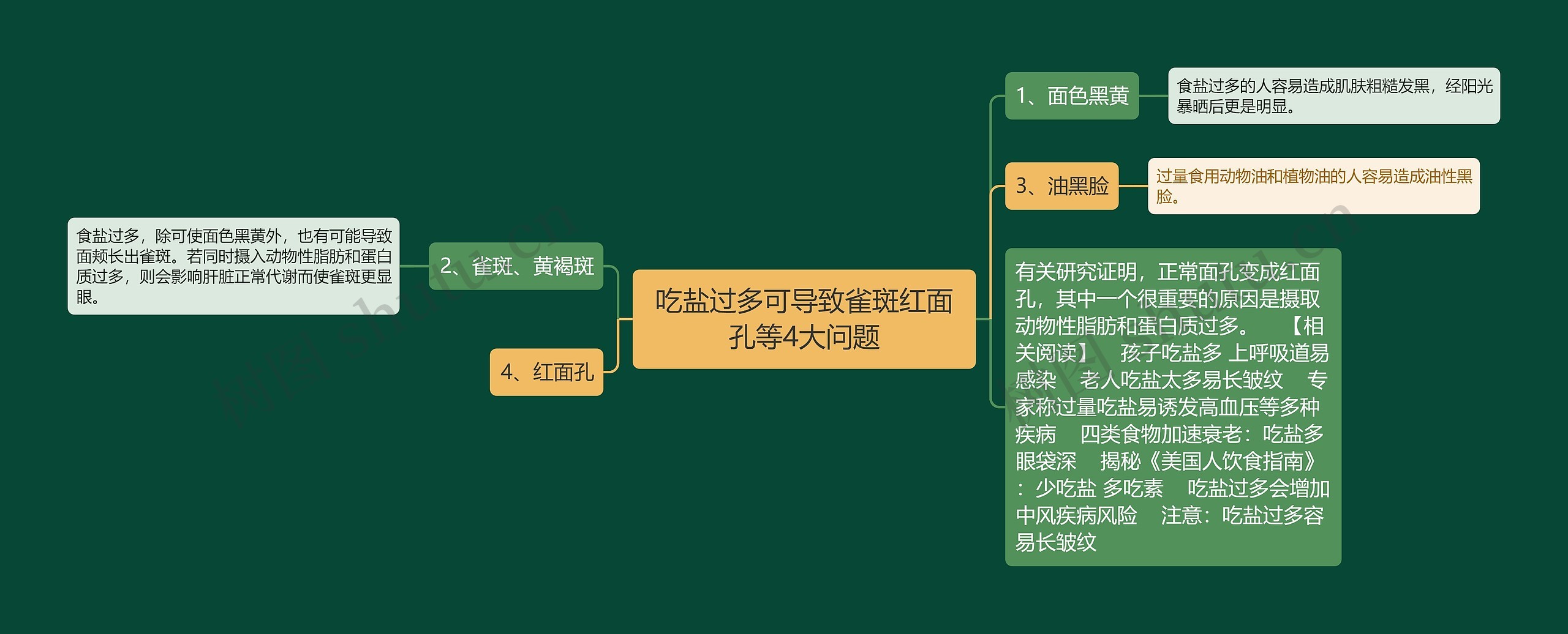 吃盐过多可导致雀斑红面孔等4大问题思维导图