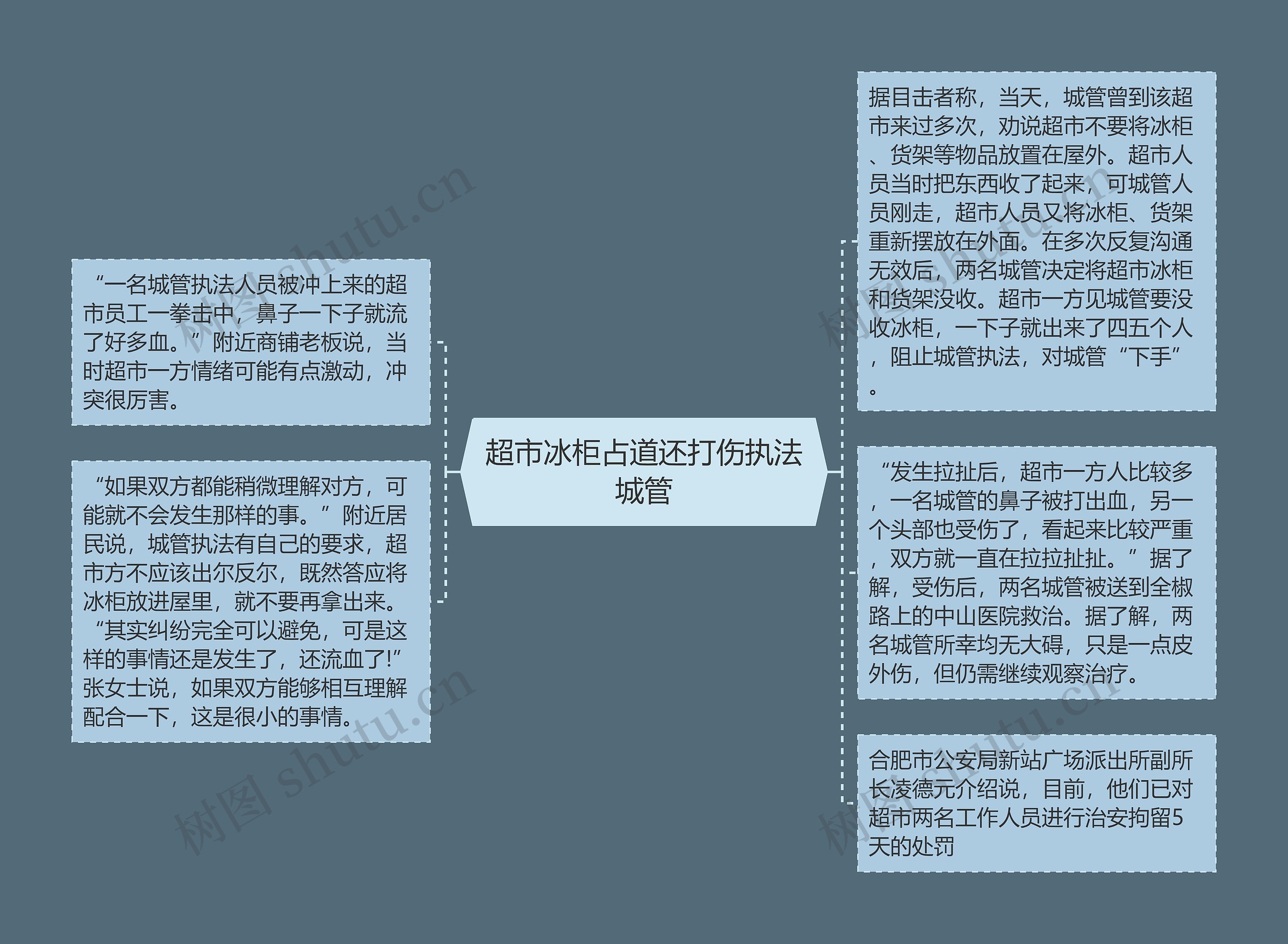 超市冰柜占道还打伤执法城管思维导图