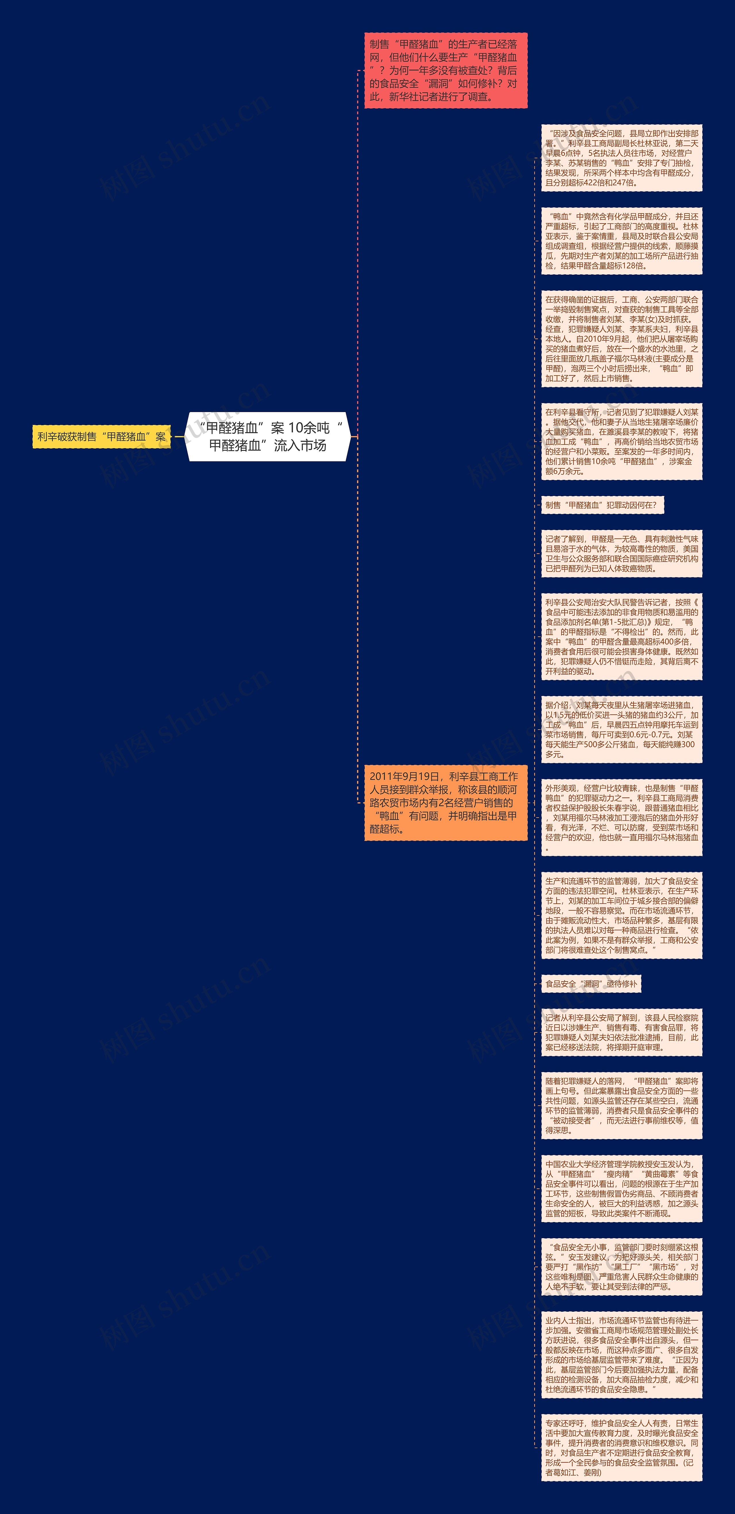 “甲醛猪血”案 10余吨“甲醛猪血”流入市场思维导图