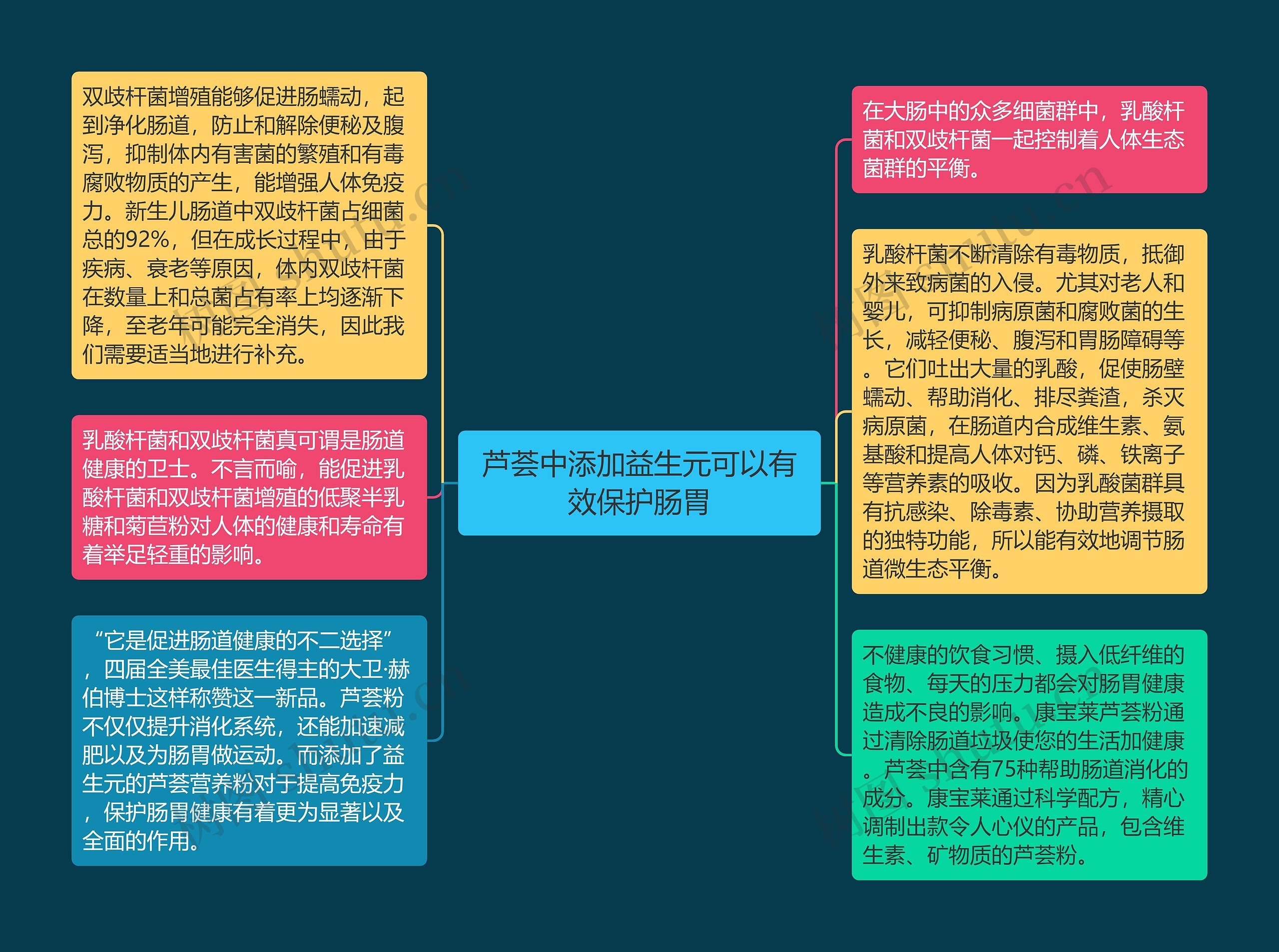 芦荟中添加益生元可以有效保护肠胃思维导图