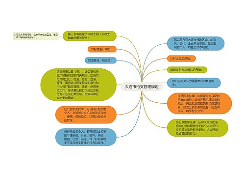 大连市枪支管理规定