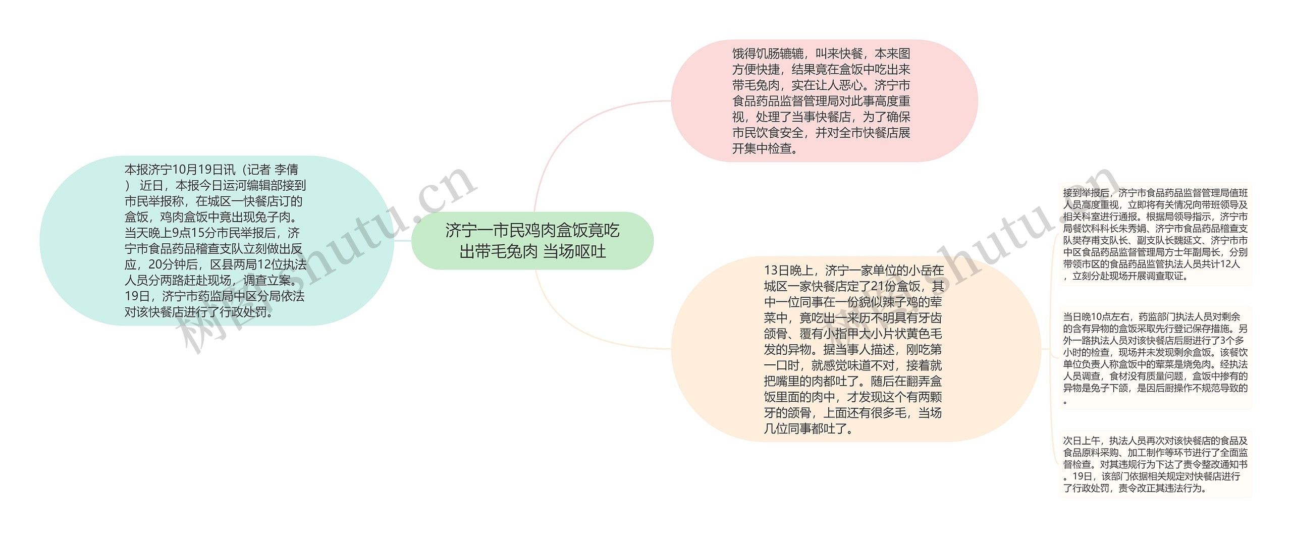 济宁一市民鸡肉盒饭竟吃出带毛兔肉 当场呕吐思维导图