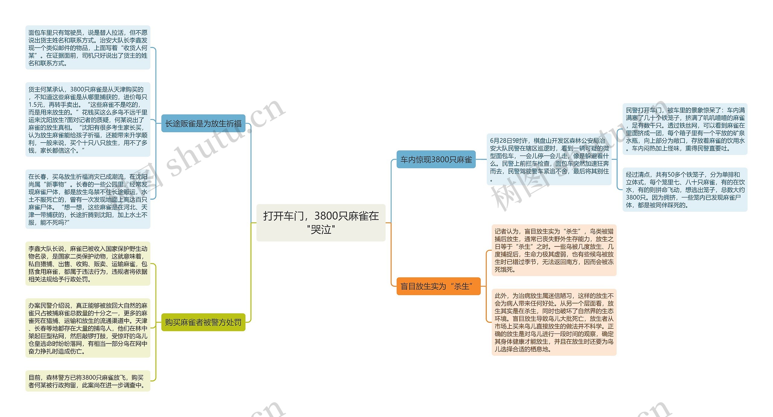 打开车门，3800只麻雀在"哭泣"思维导图