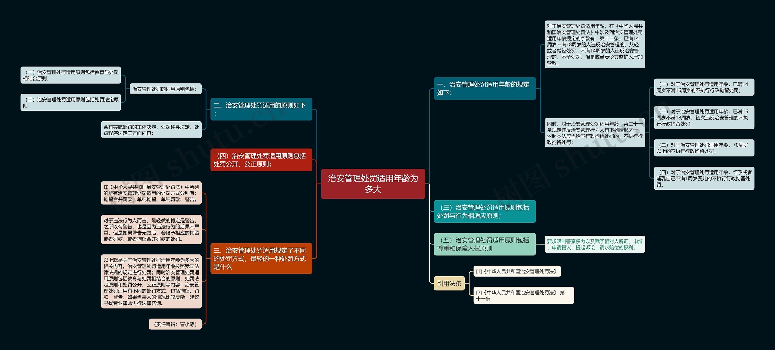 治安管理处罚适用年龄为多大思维导图