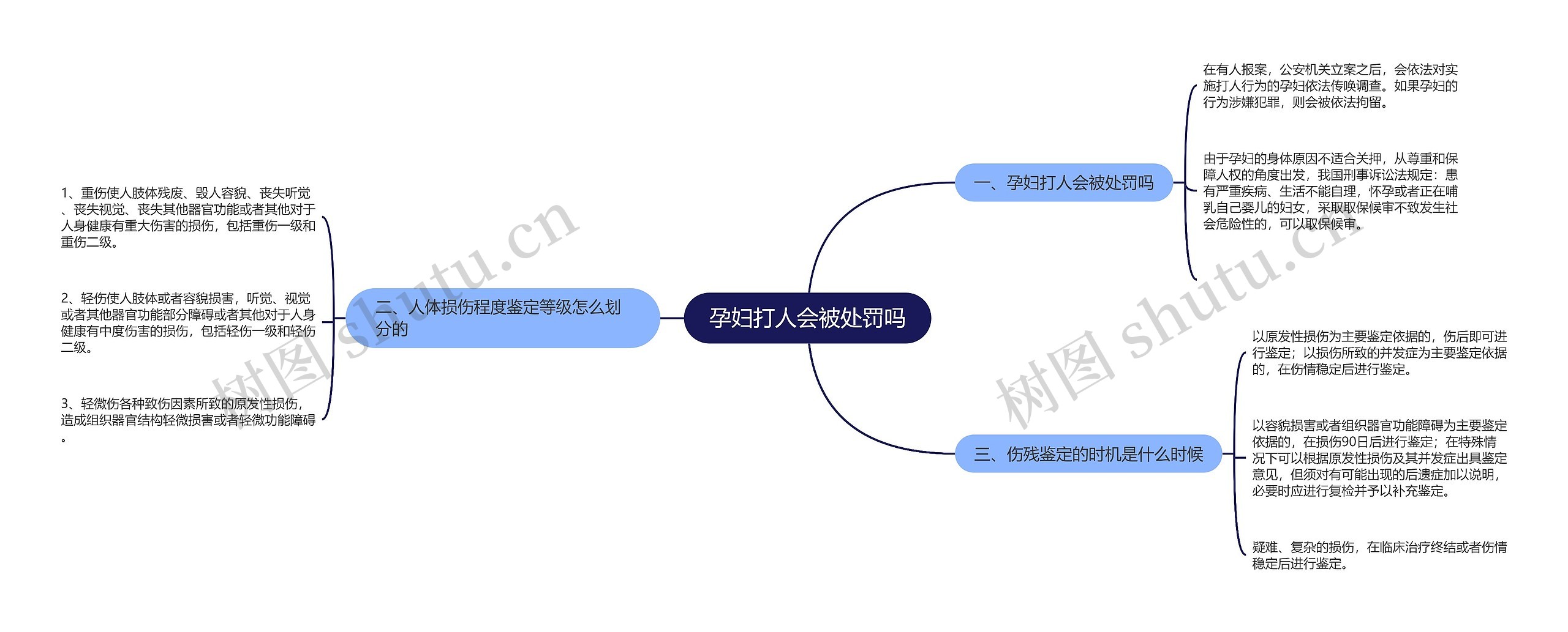 孕妇打人会被处罚吗思维导图