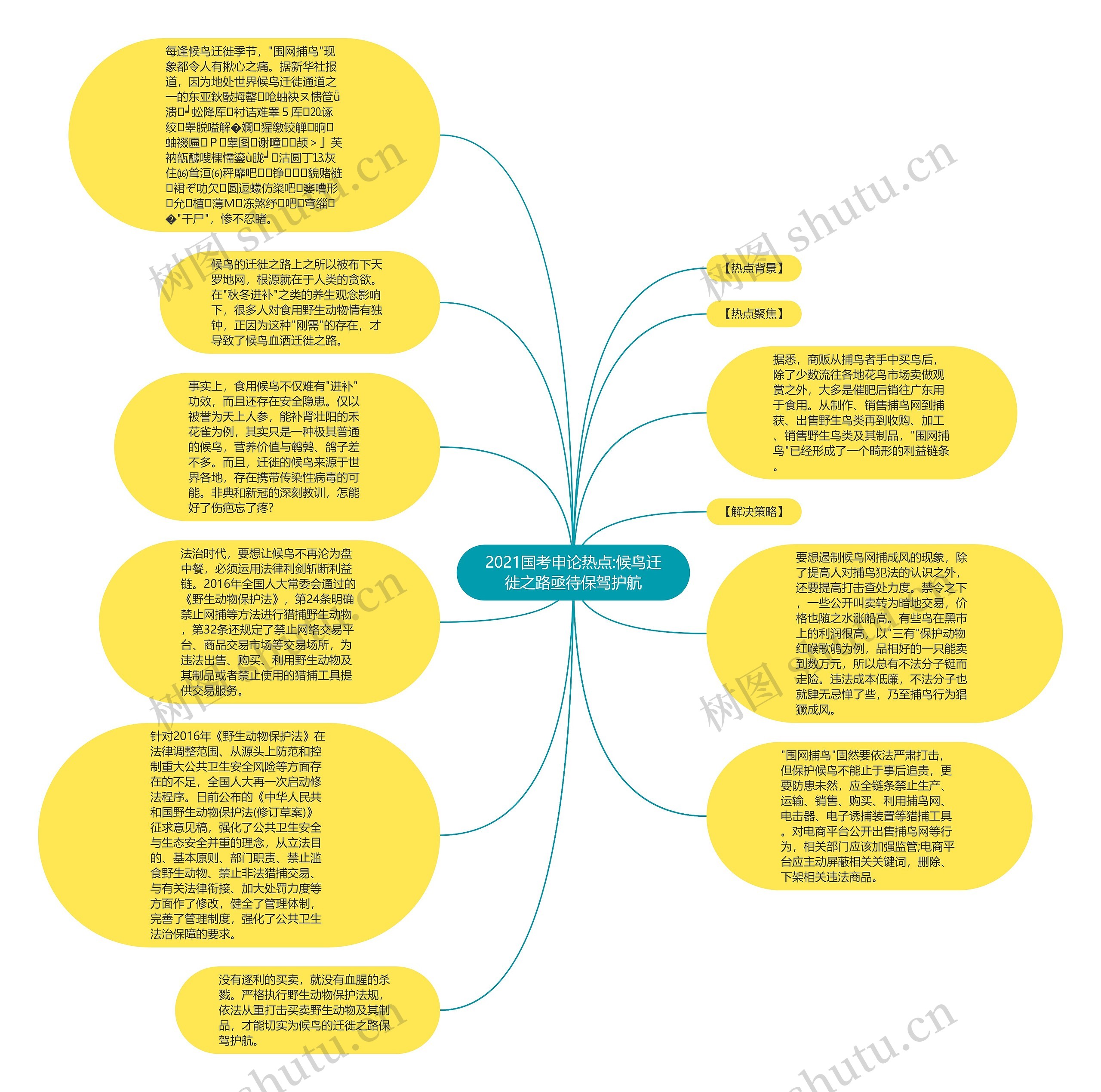 2021国考申论热点:候鸟迁徙之路亟待保驾护航思维导图
