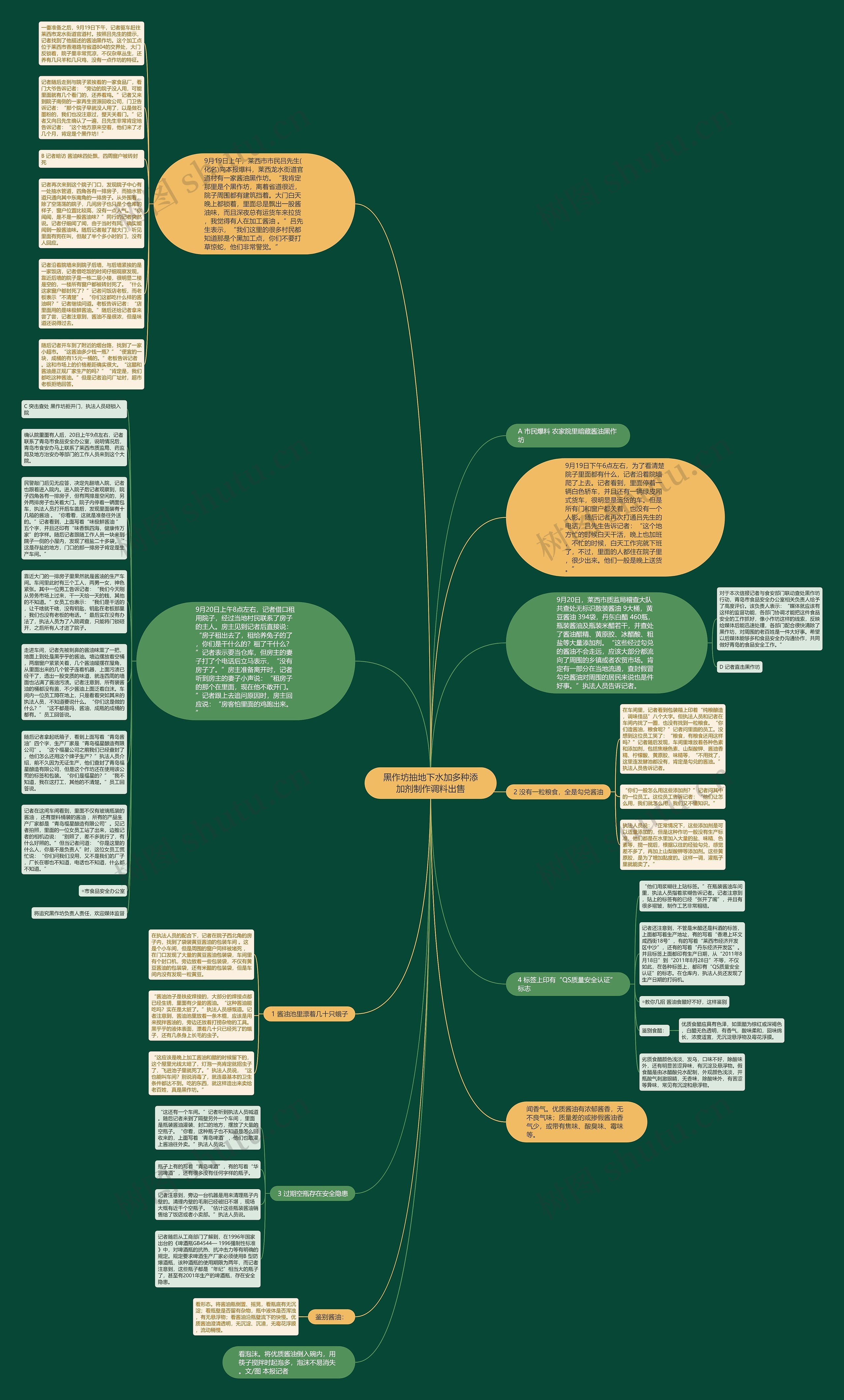 黑作坊抽地下水加多种添加剂制作调料出售思维导图