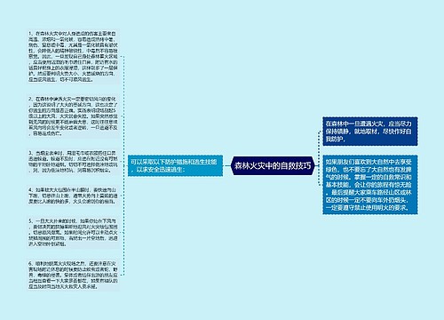 森林火灾中的自救技巧