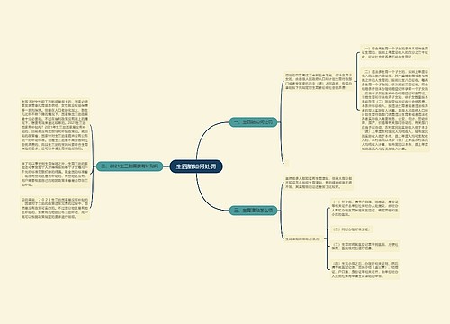 生四胎如何处罚