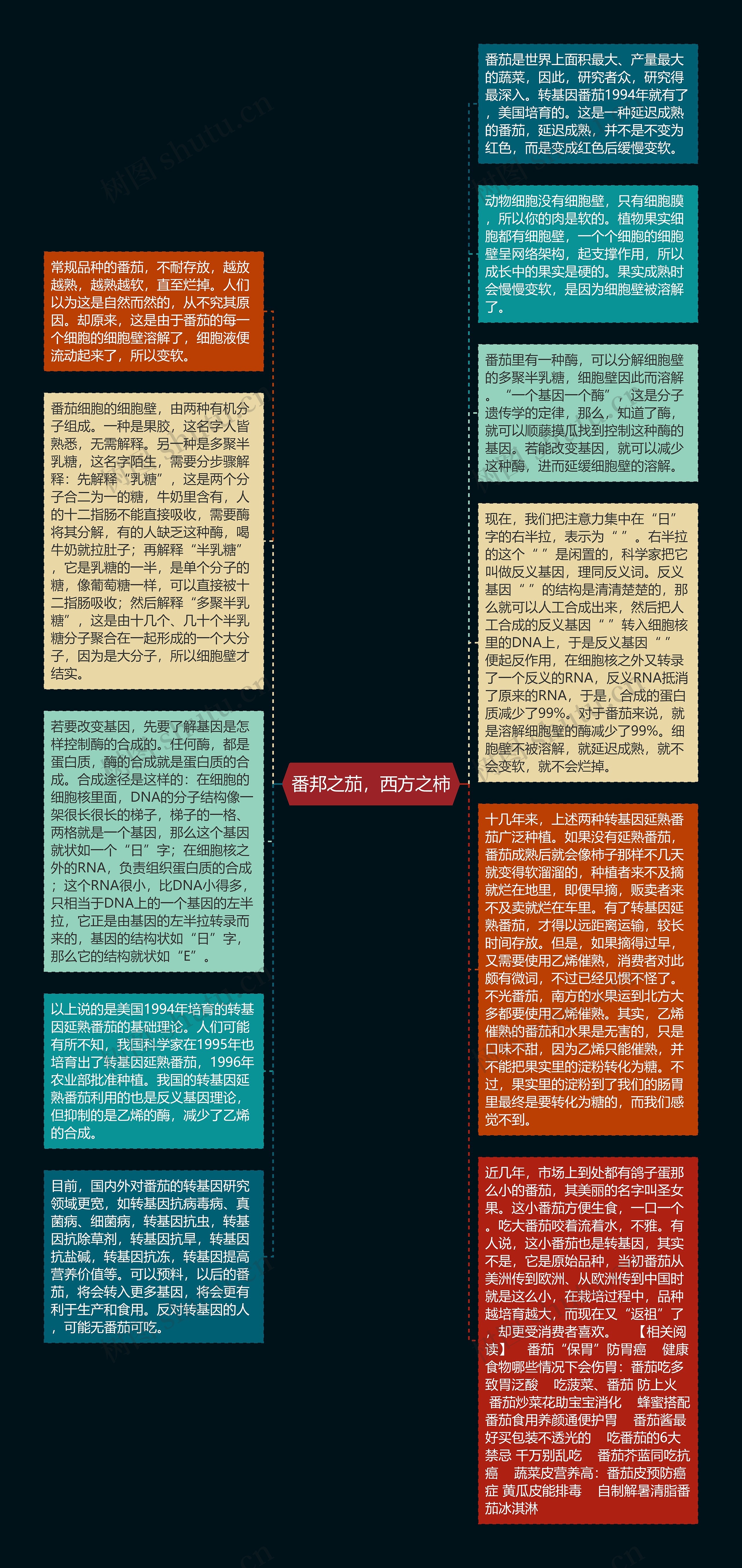 番邦之茄，西方之柿