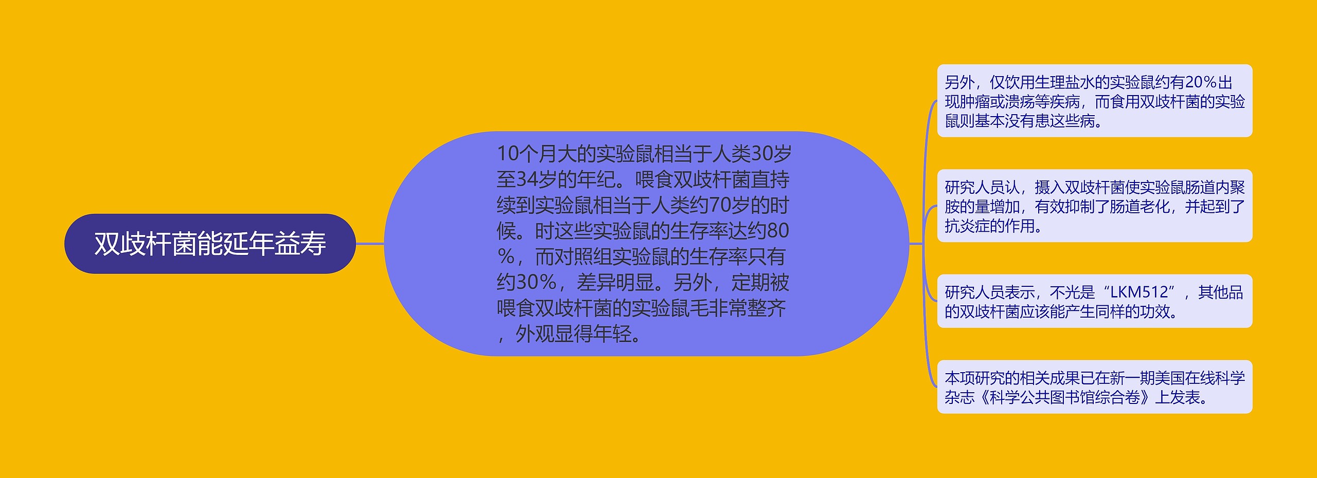 双歧杆菌能延年益寿