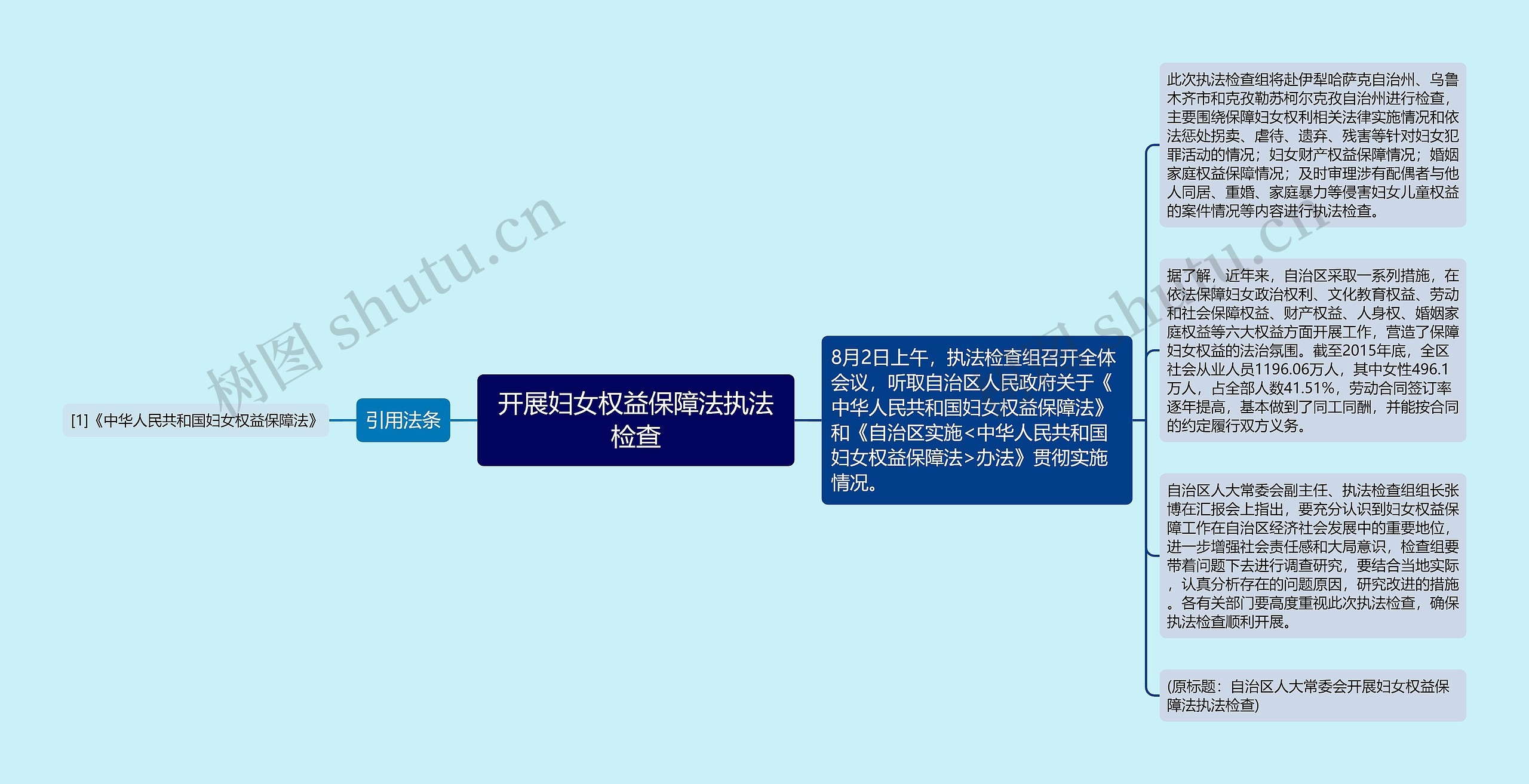 开展妇女权益保障法执法检查思维导图