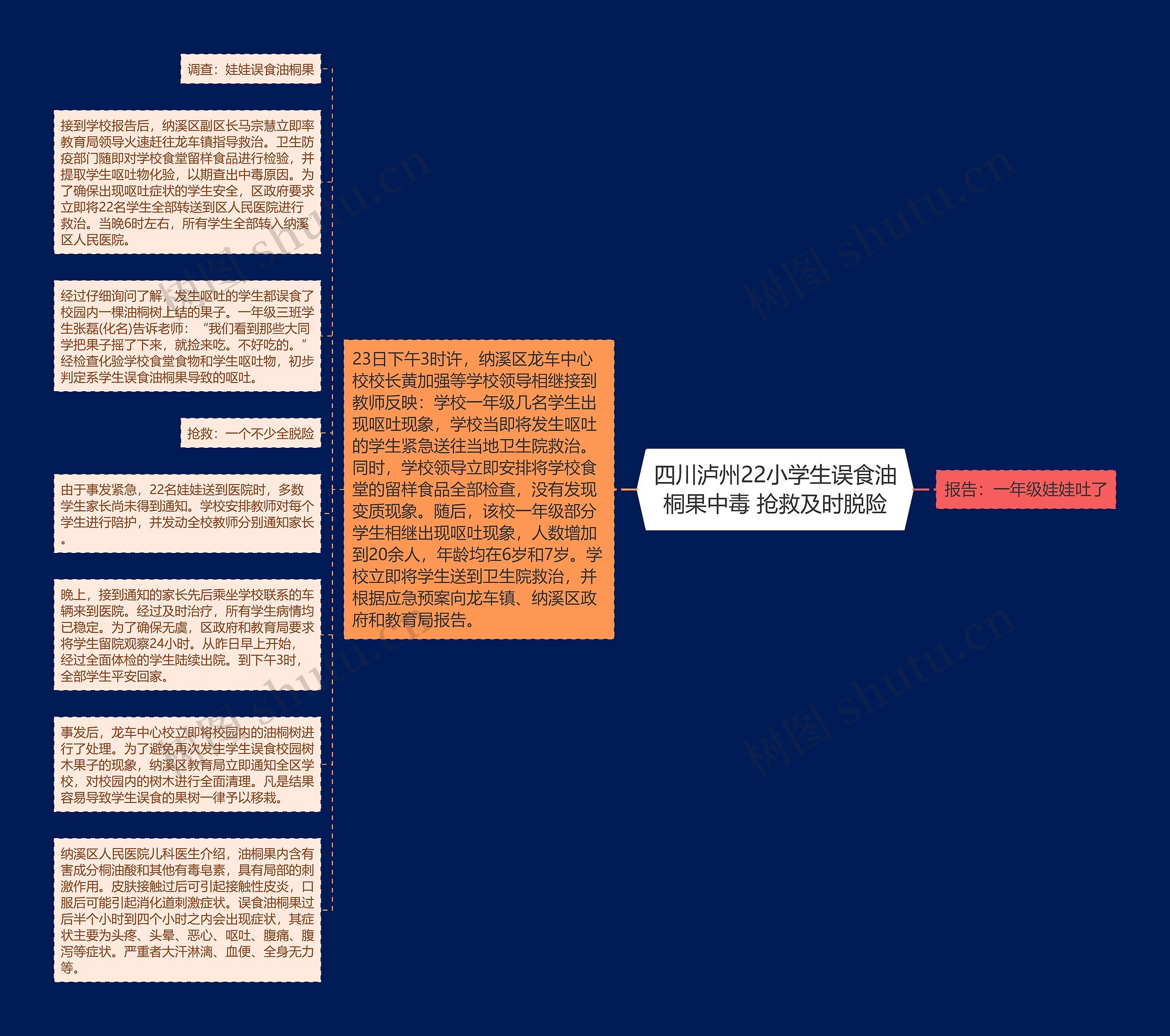 四川泸州22小学生误食油桐果中毒 抢救及时脱险思维导图