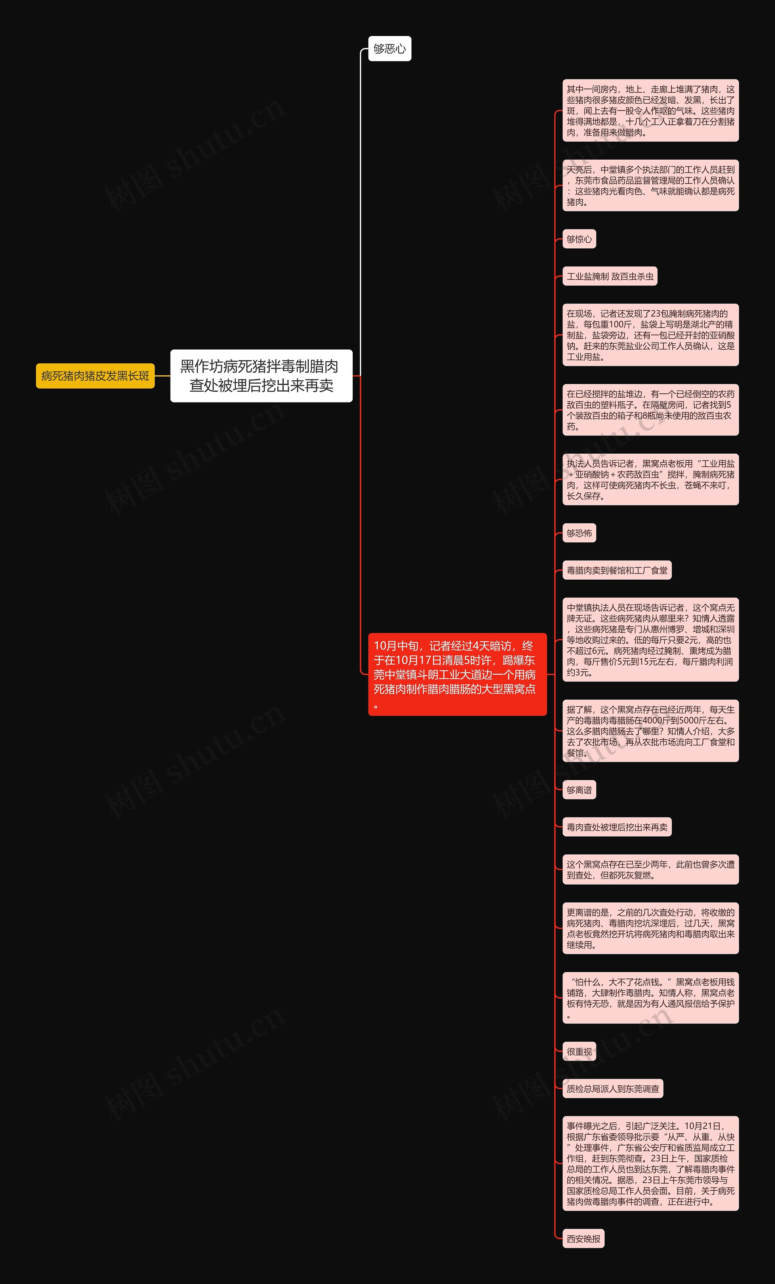 黑作坊病死猪拌毒制腊肉 查处被埋后挖出来再卖思维导图
