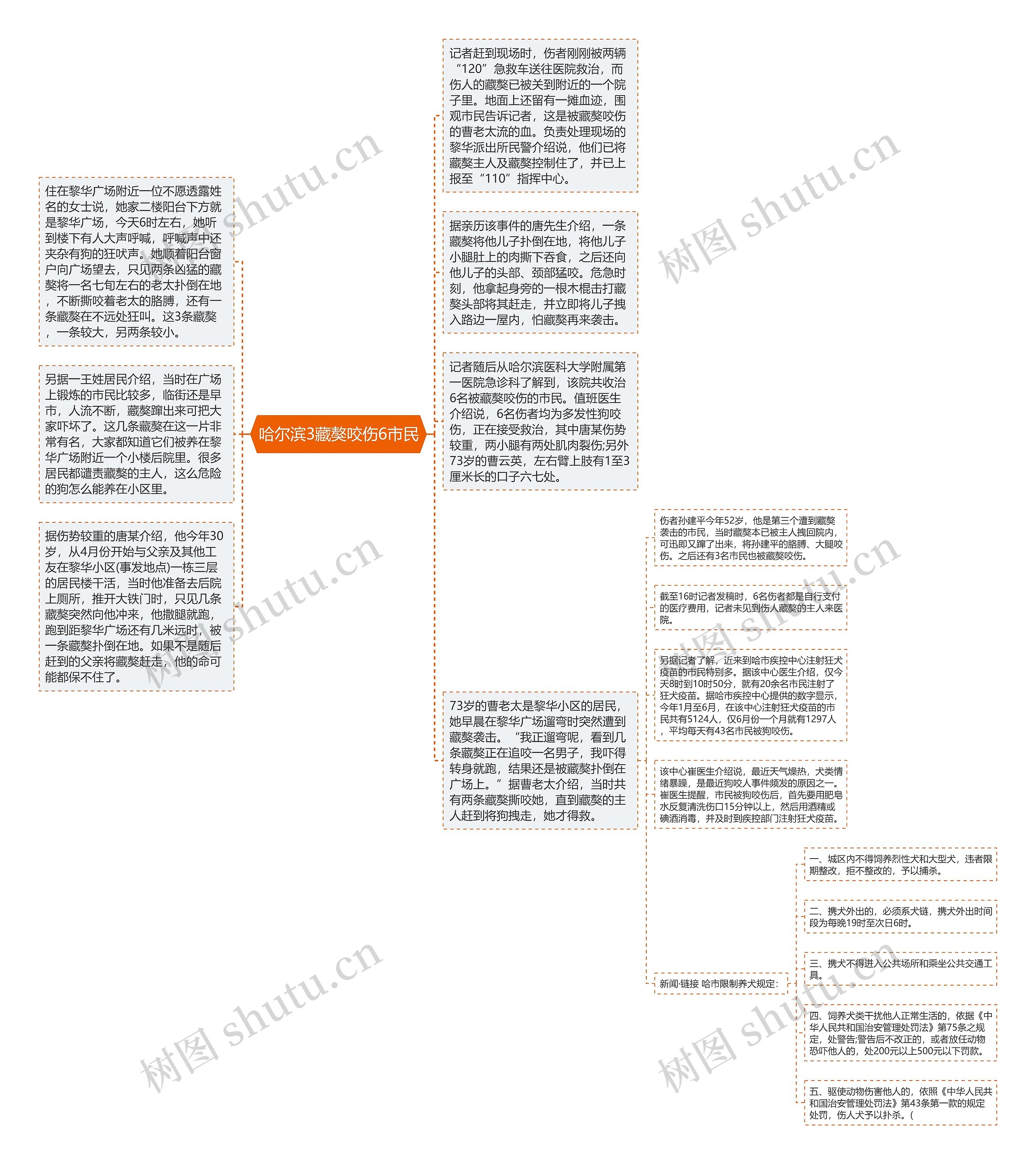 哈尔滨3藏獒咬伤6市民思维导图