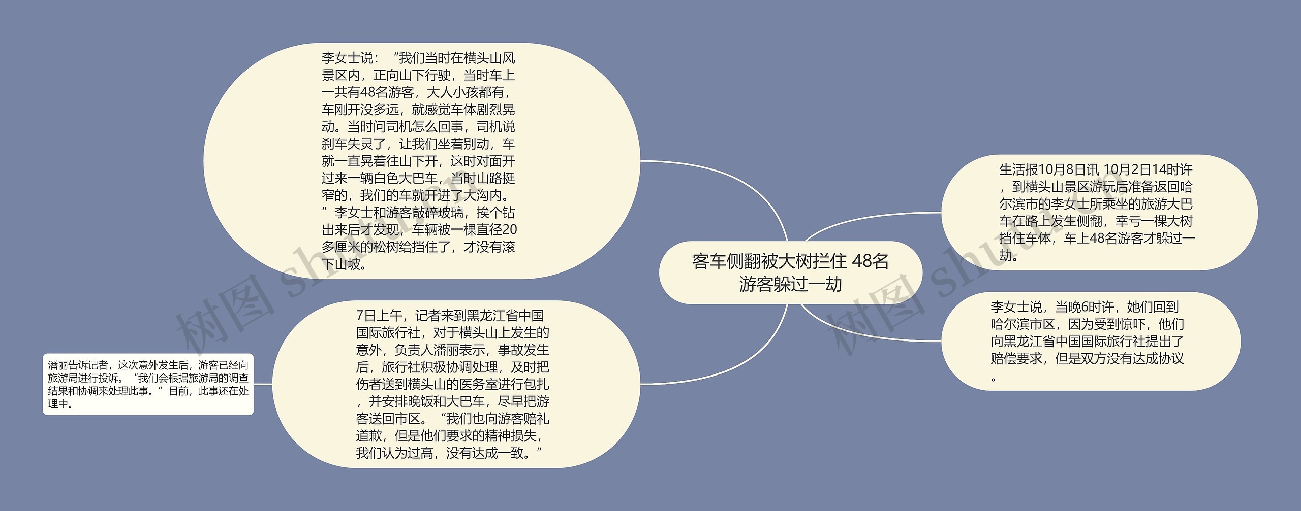 客车侧翻被大树拦住 48名游客躲过一劫思维导图