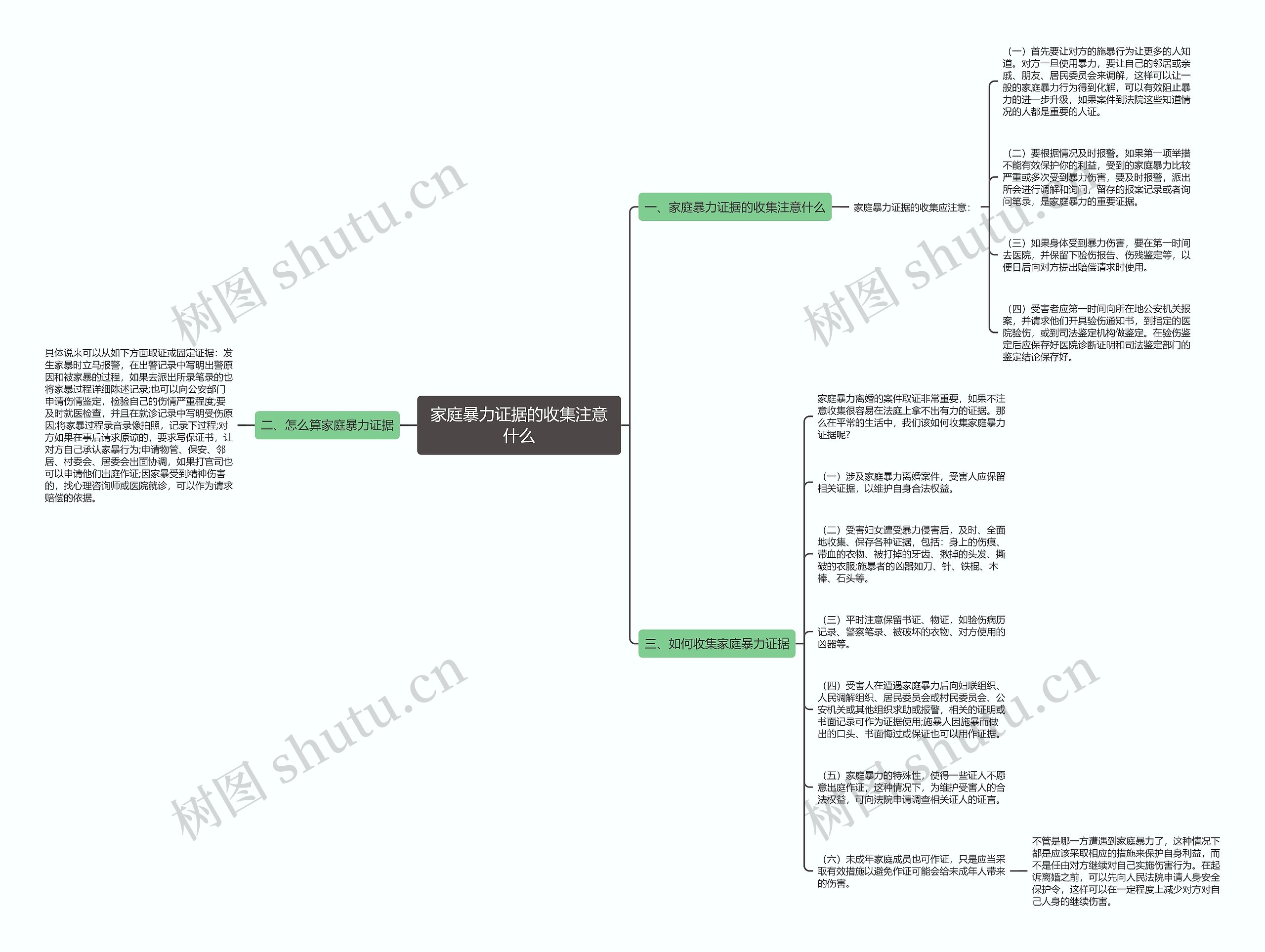 家庭暴力证据的收集注意什么思维导图
