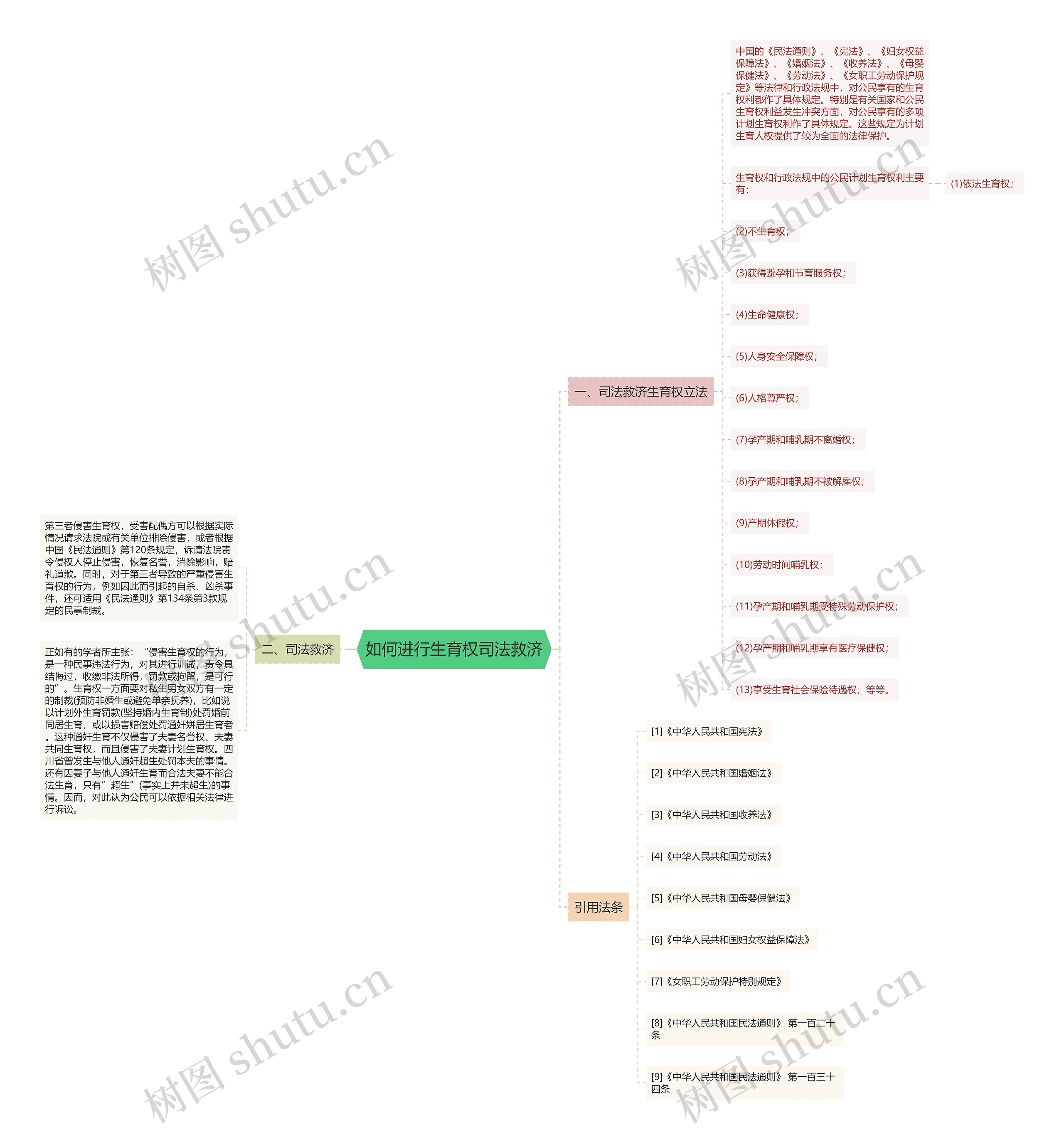 如何进行生育权司法救济思维导图