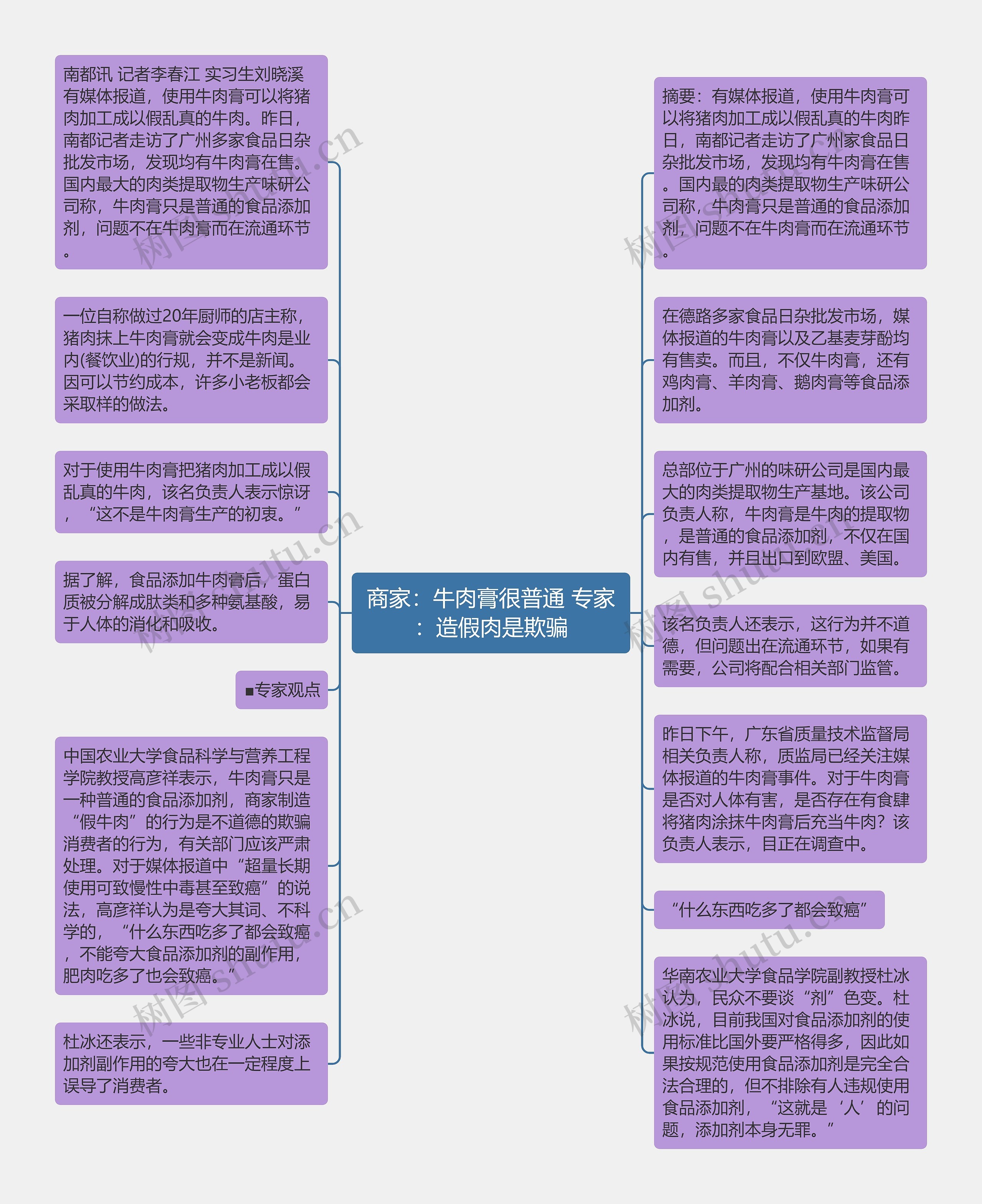 商家：牛肉膏很普通 专家：造假肉是欺骗思维导图