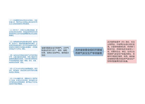 吉林省安委会组织开展城市燃气安全生产专项督查