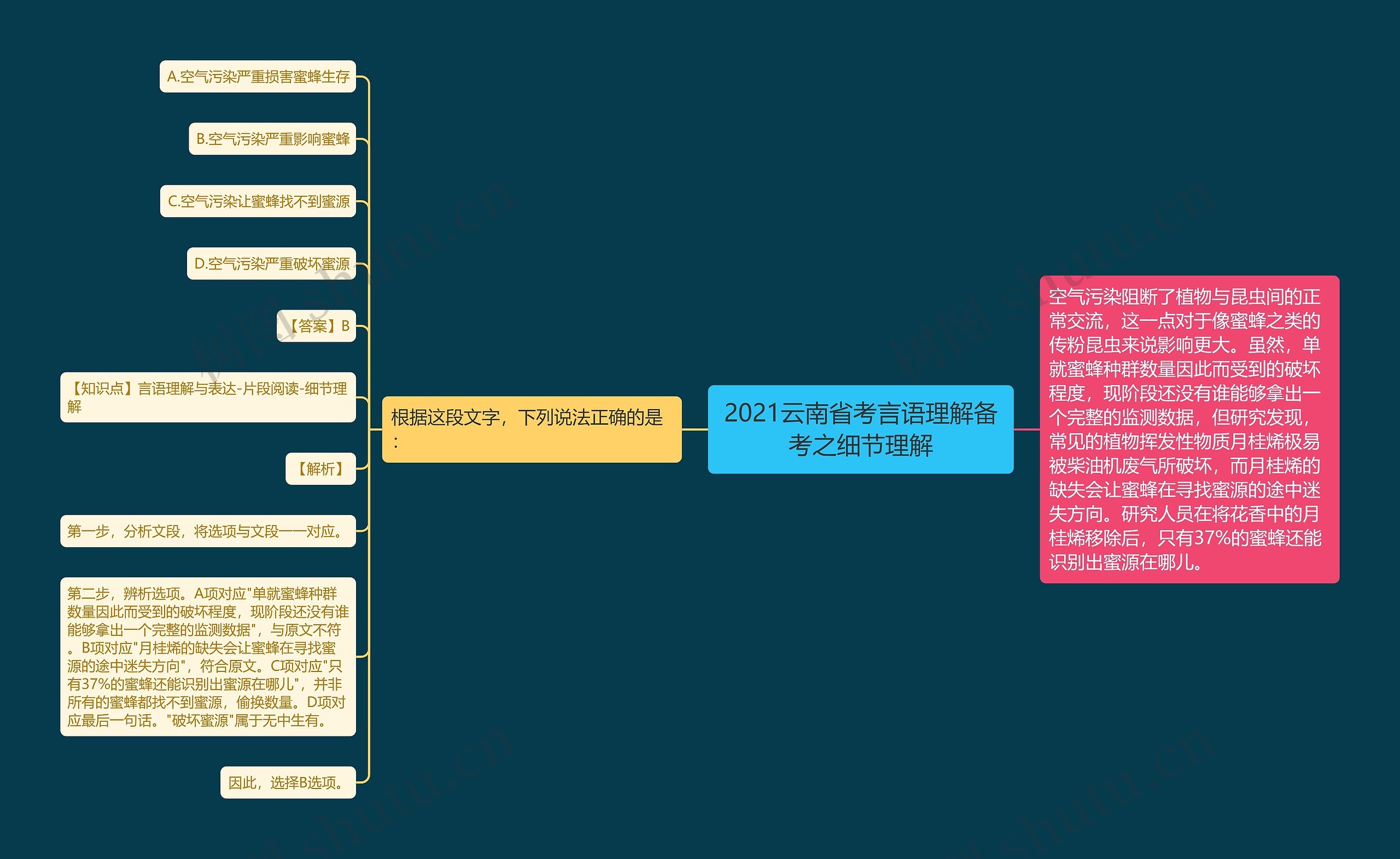 2021云南省考言语理解备考之细节理解思维导图