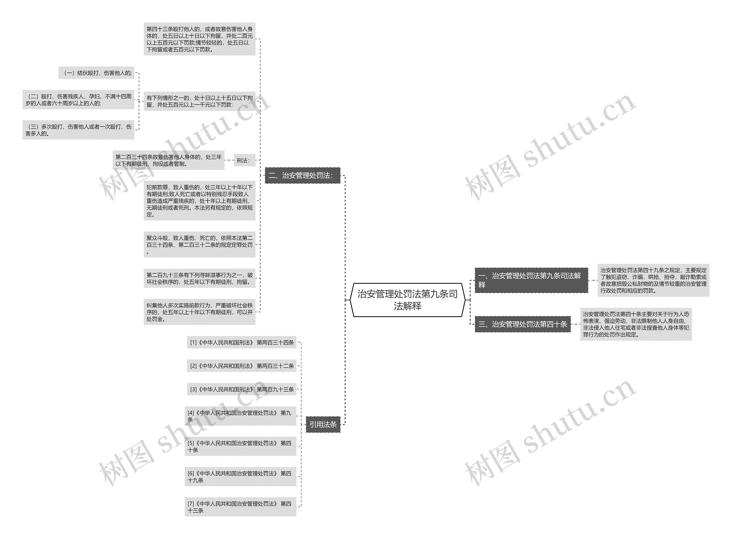 治安管理处罚法第九条司法解释思维导图