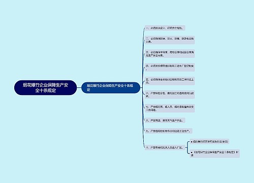 烟花爆竹企业保障生产安全十条规定