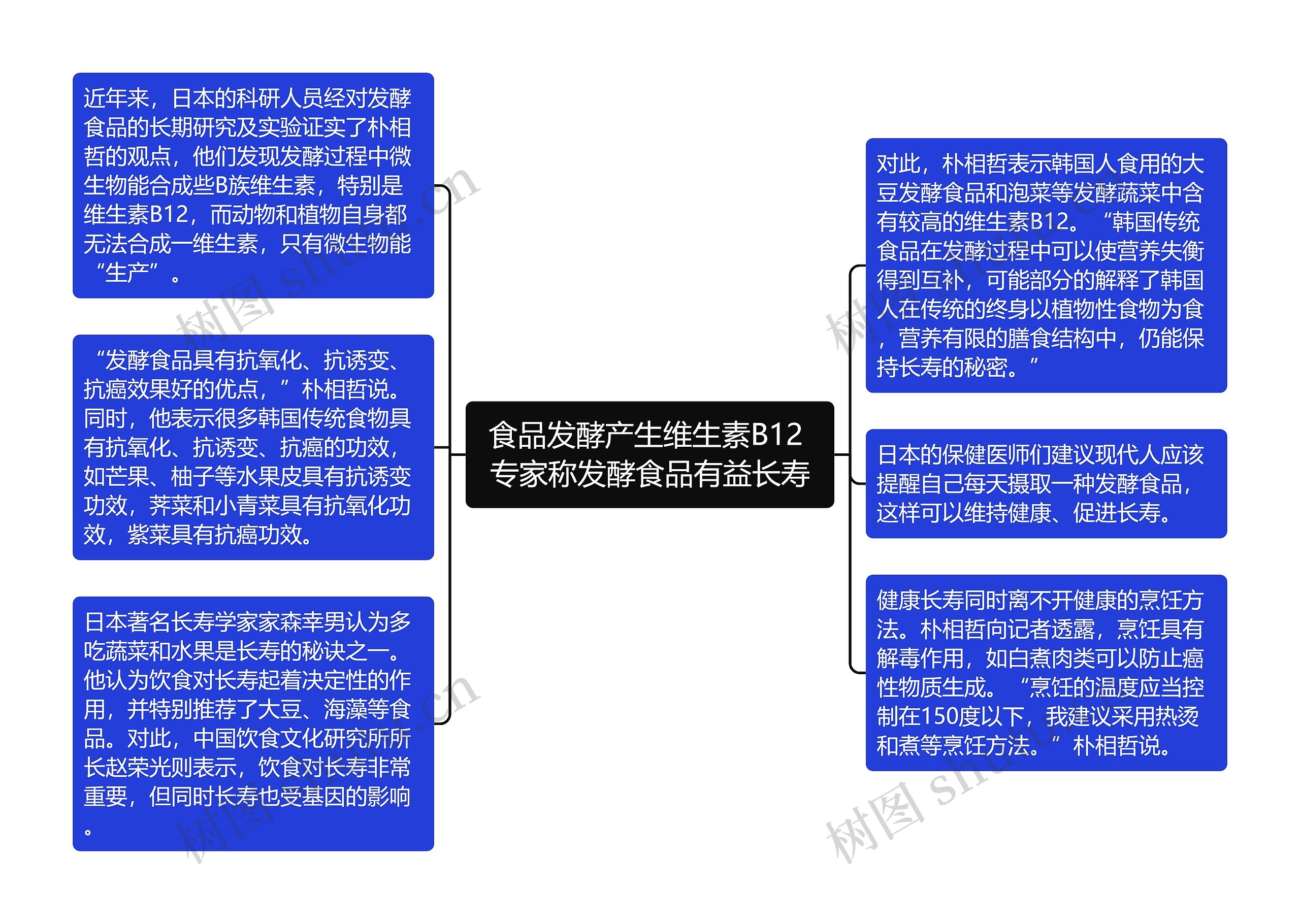 食品发酵产生维生素B12 专家称发酵食品有益长寿思维导图