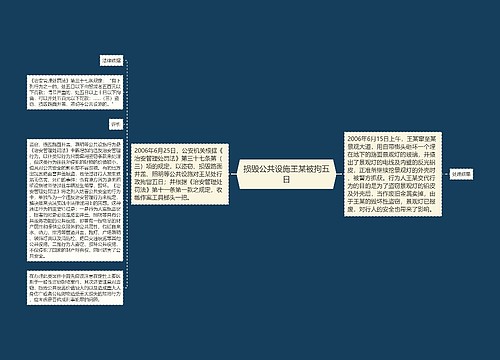 损毁公共设施王某被拘五日