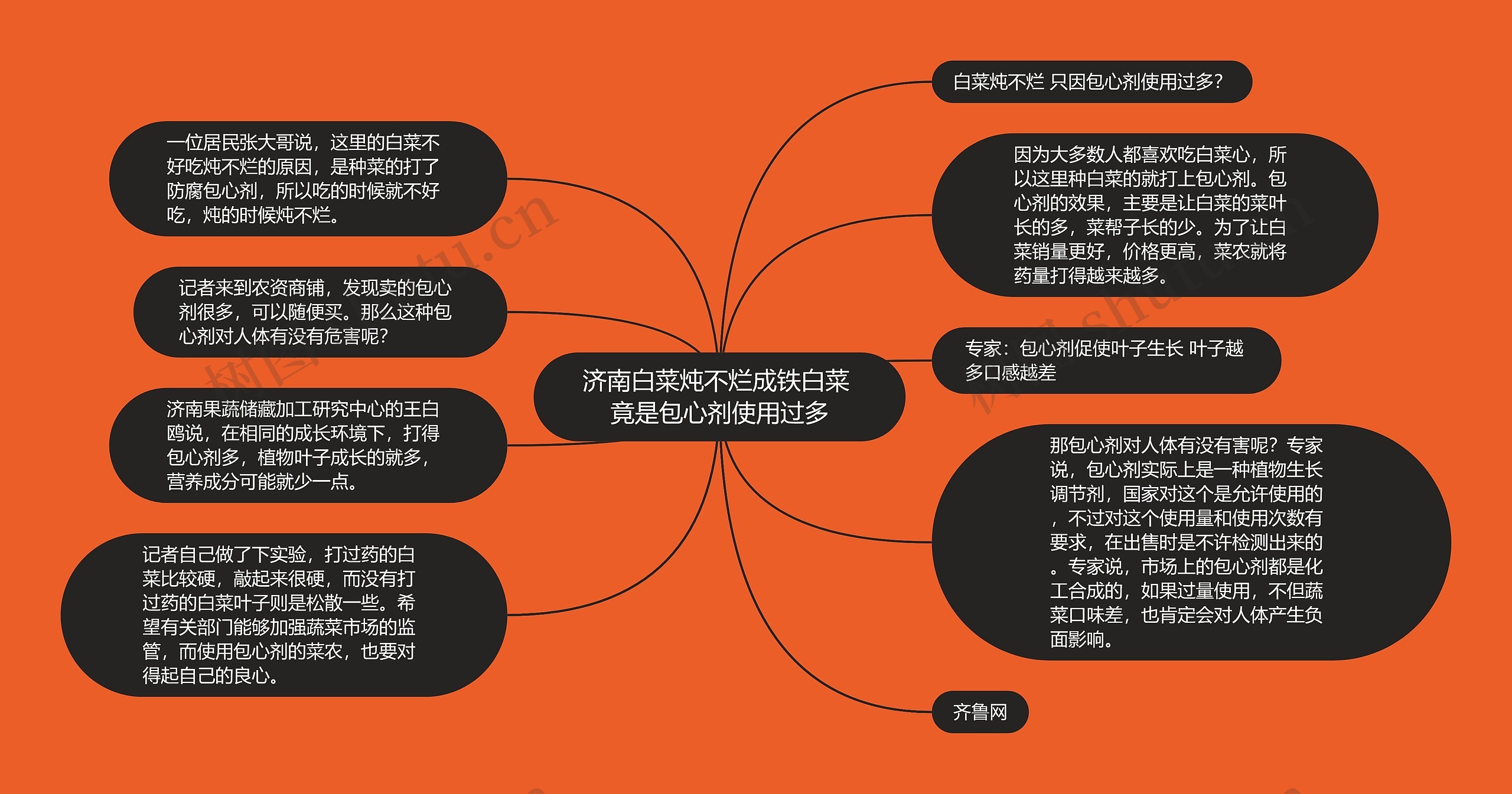 济南白菜炖不烂成铁白菜 竟是包心剂使用过多