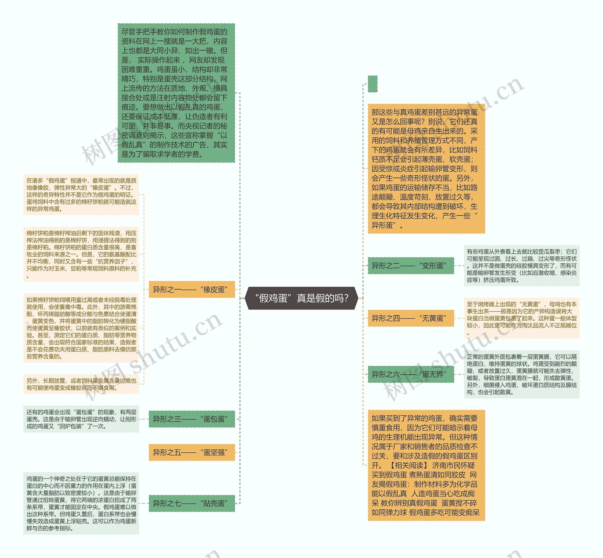 “假鸡蛋”真是假的吗？思维导图