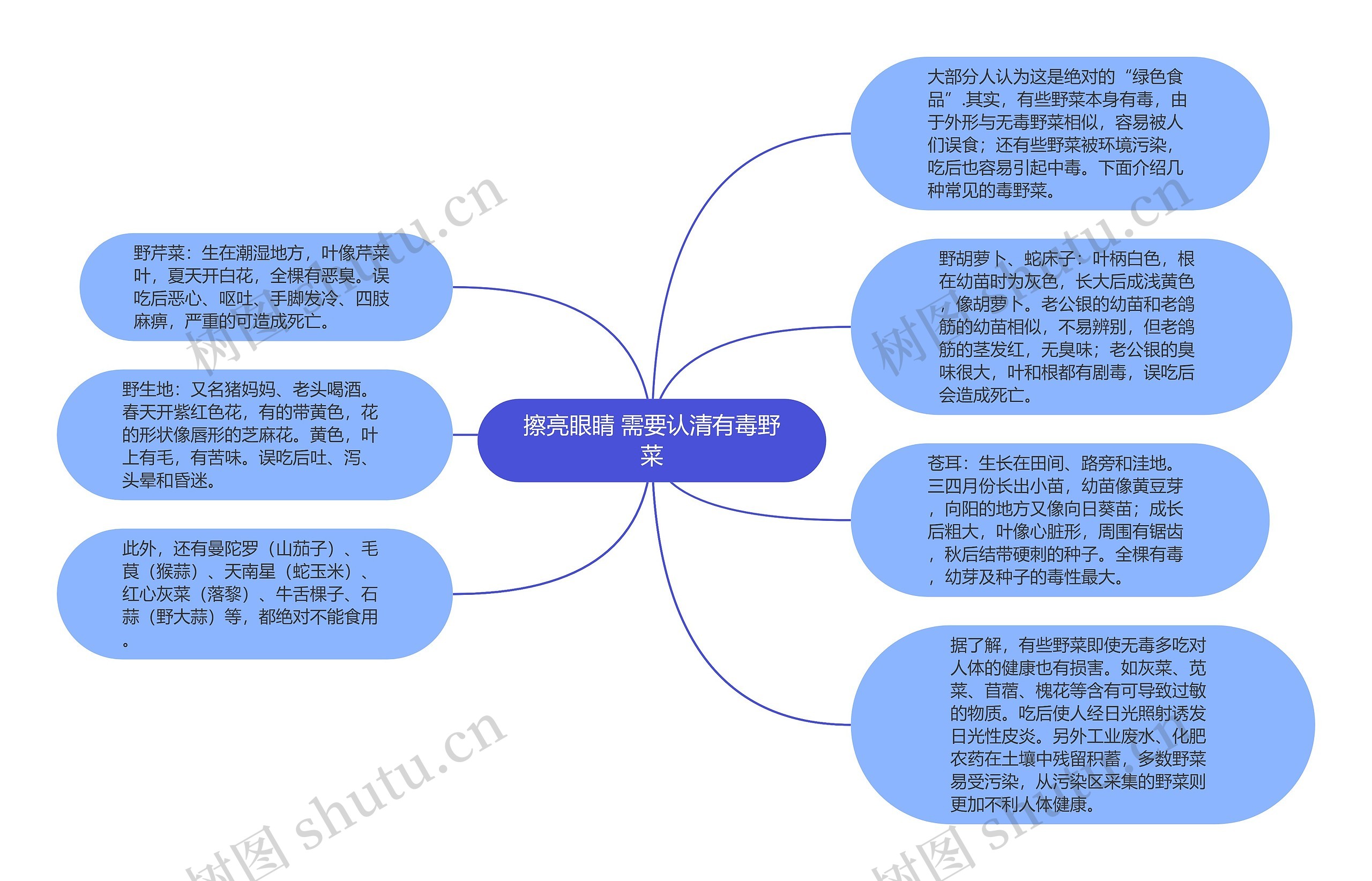 擦亮眼睛 需要认清有毒野菜思维导图