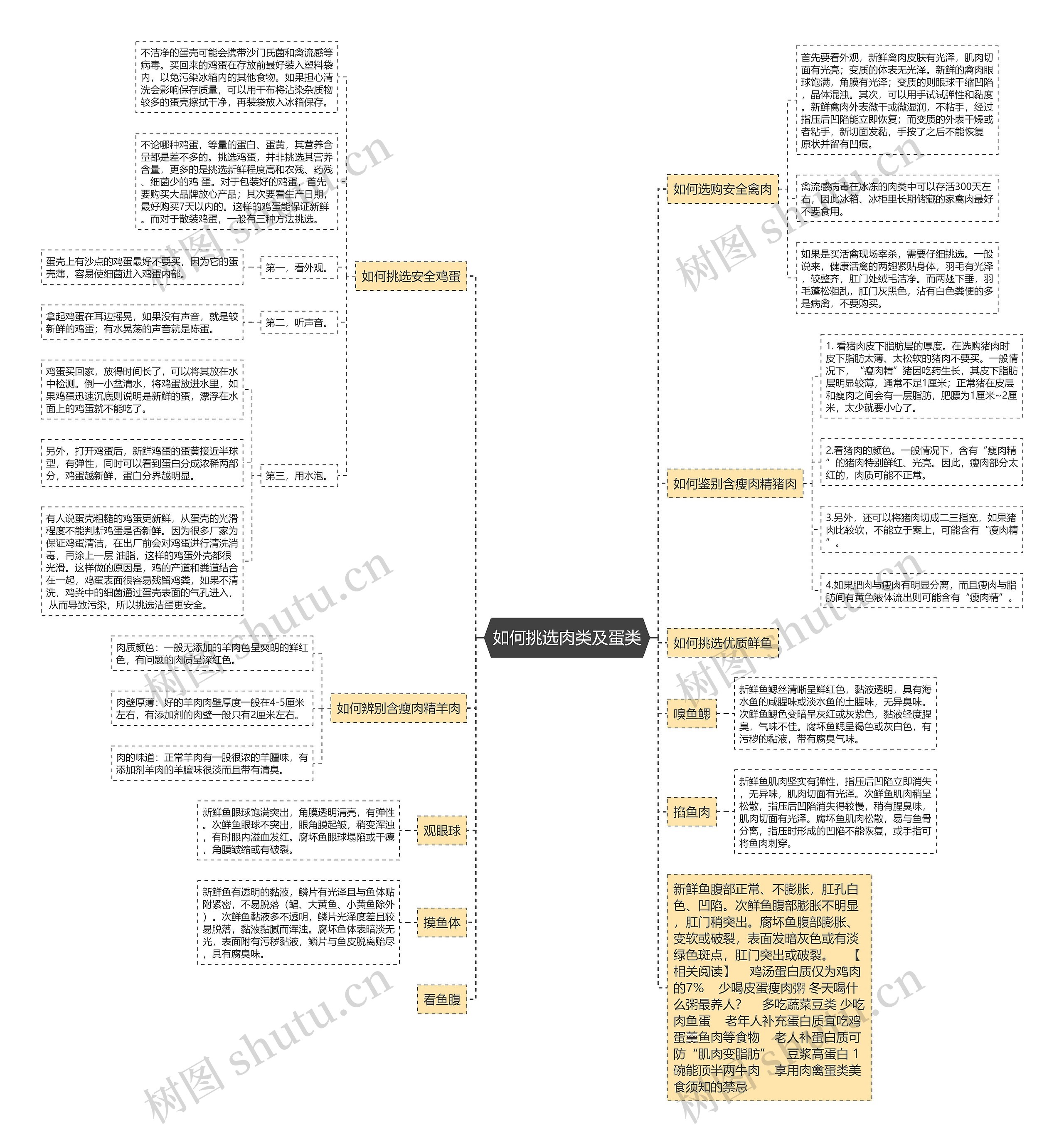 如何挑选肉类及蛋类思维导图