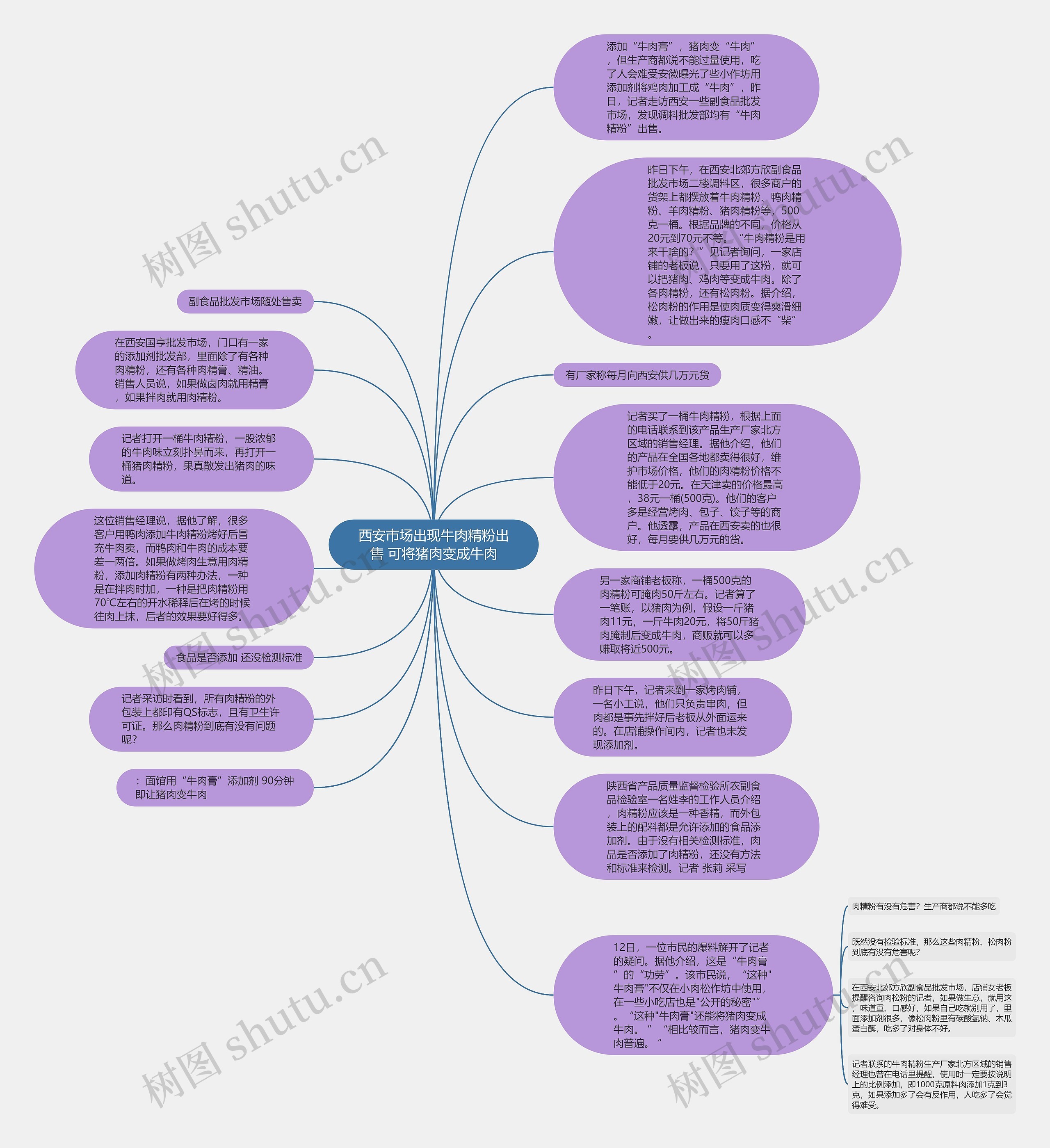 西安市场出现牛肉精粉出售 可将猪肉变成牛肉思维导图