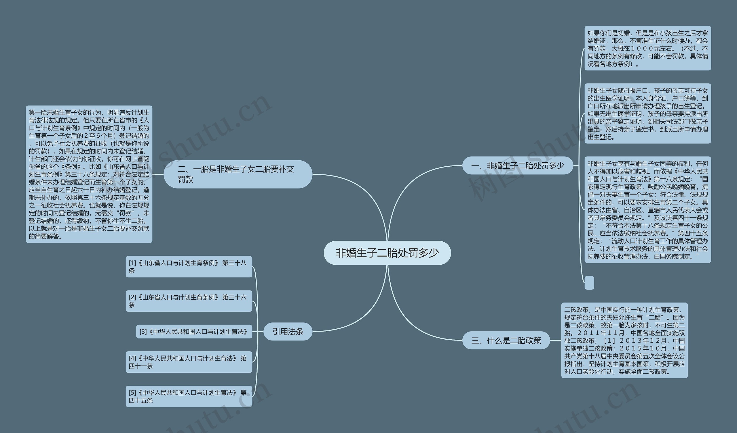 非婚生子二胎处罚多少思维导图
