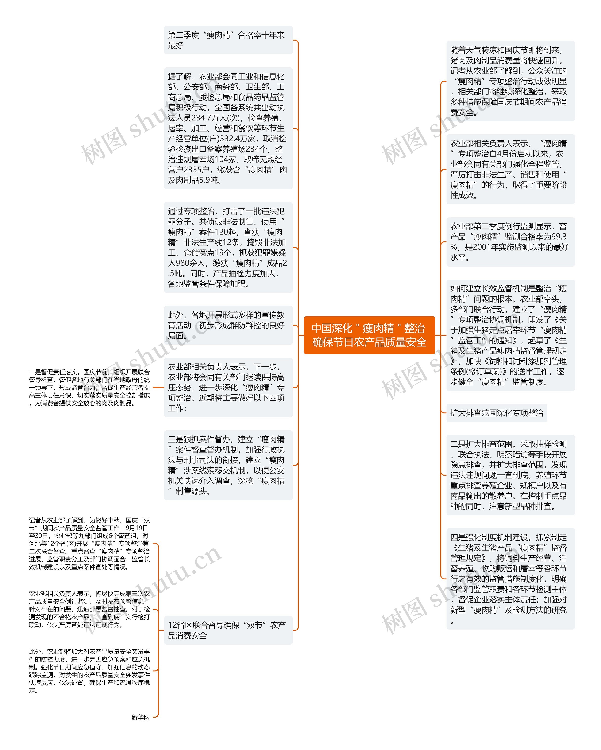 中国深化＂瘦肉精＂整治 确保节日农产品质量安全思维导图