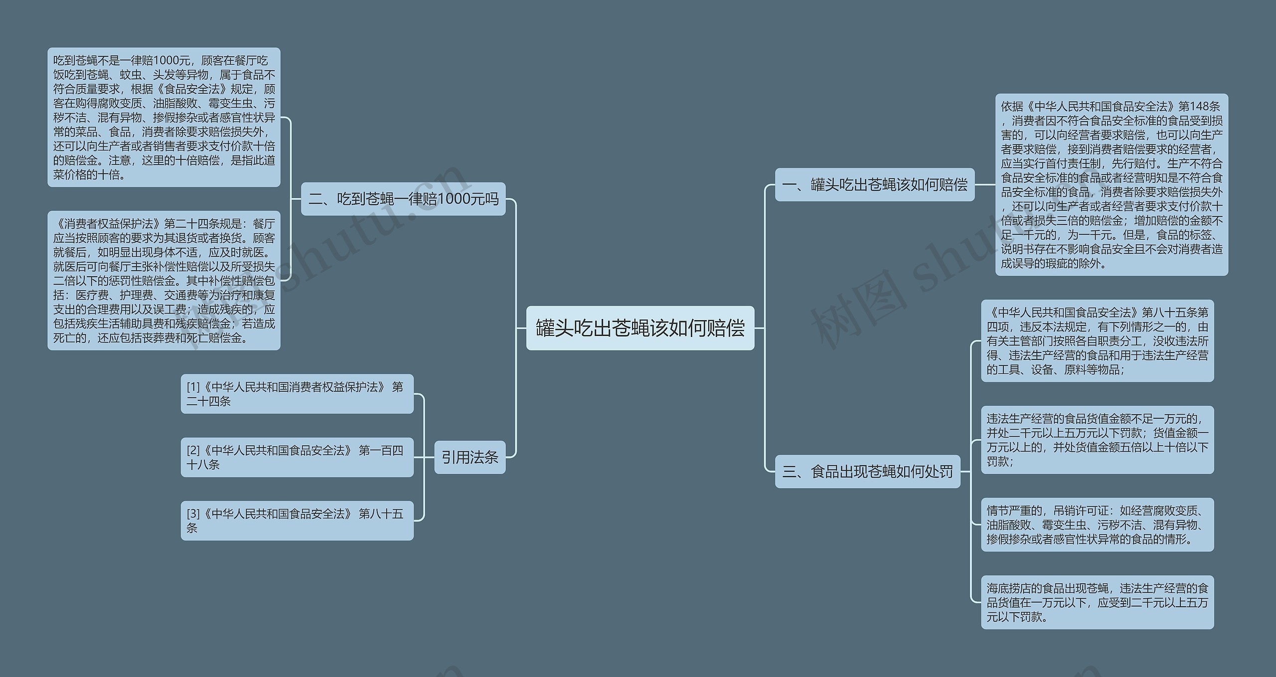 罐头吃出苍蝇该如何赔偿思维导图