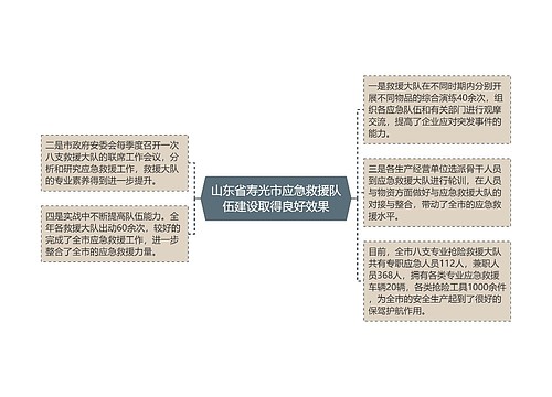 山东省寿光市应急救援队伍建设取得良好效果