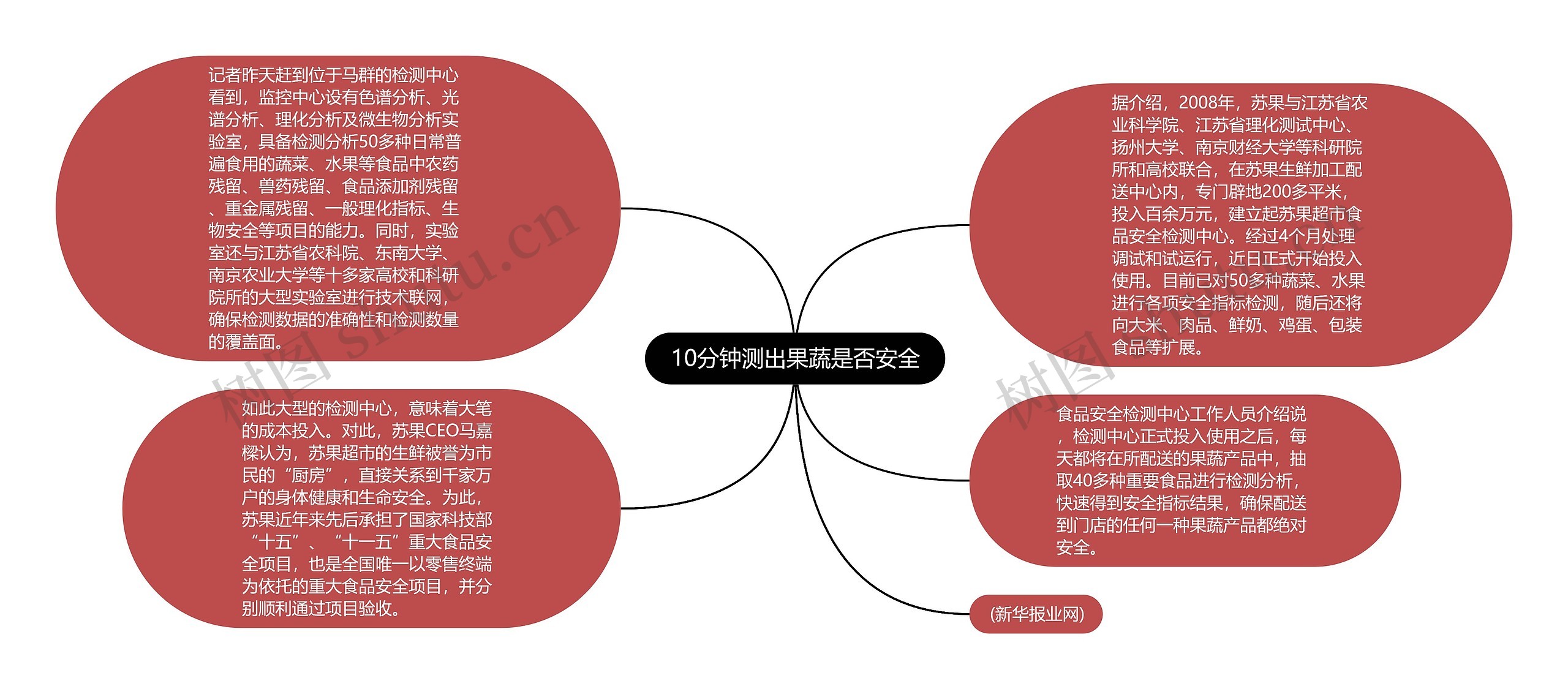 10分钟测出果蔬是否安全思维导图