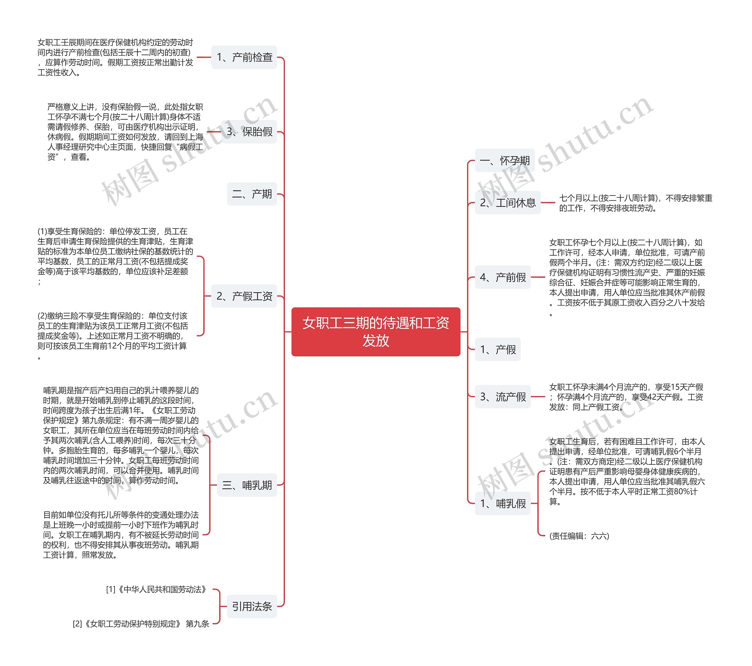 女职工三期的待遇和工资发放思维导图