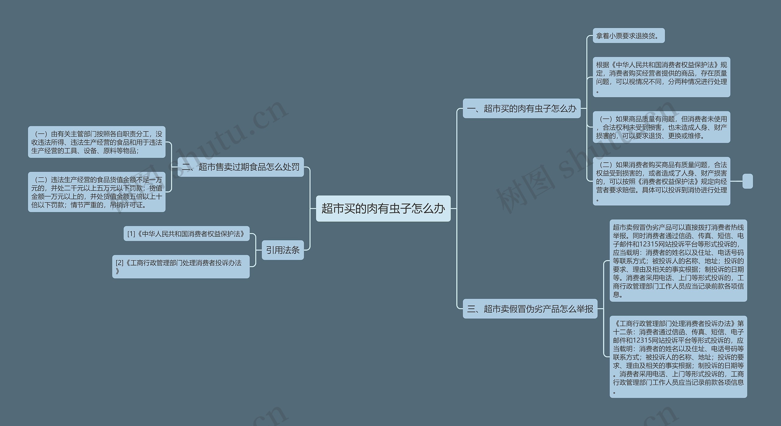 超市买的肉有虫子怎么办思维导图