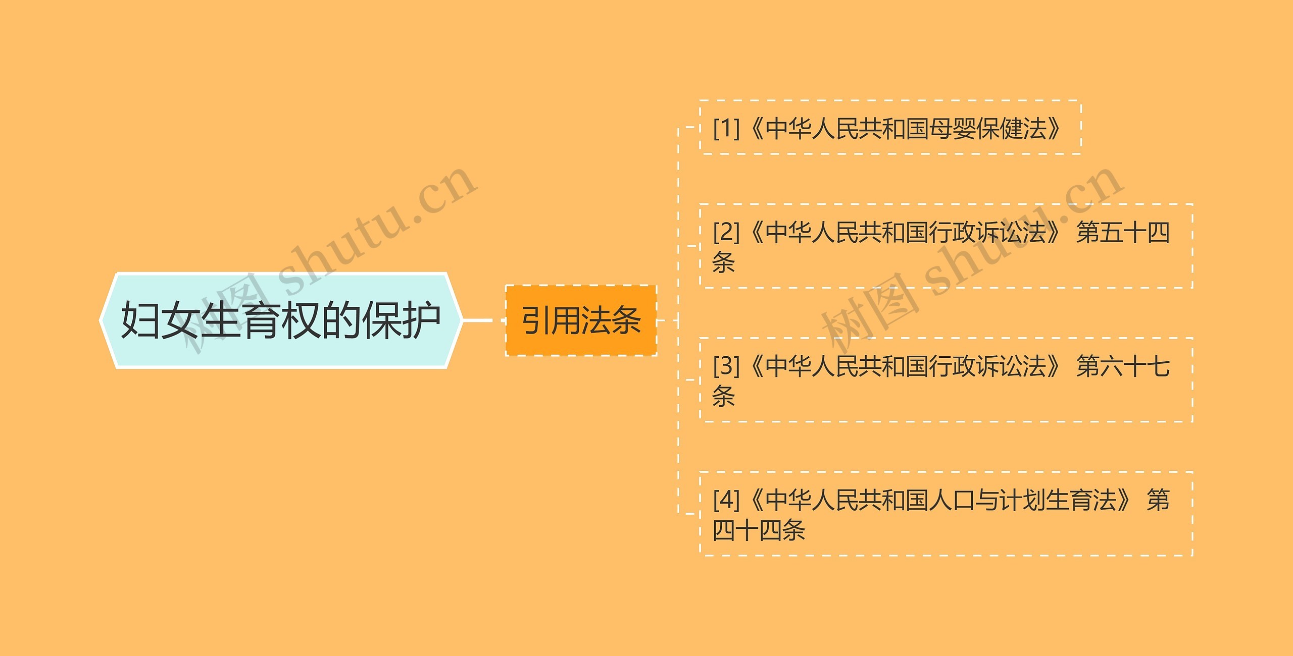 妇女生育权的保护思维导图