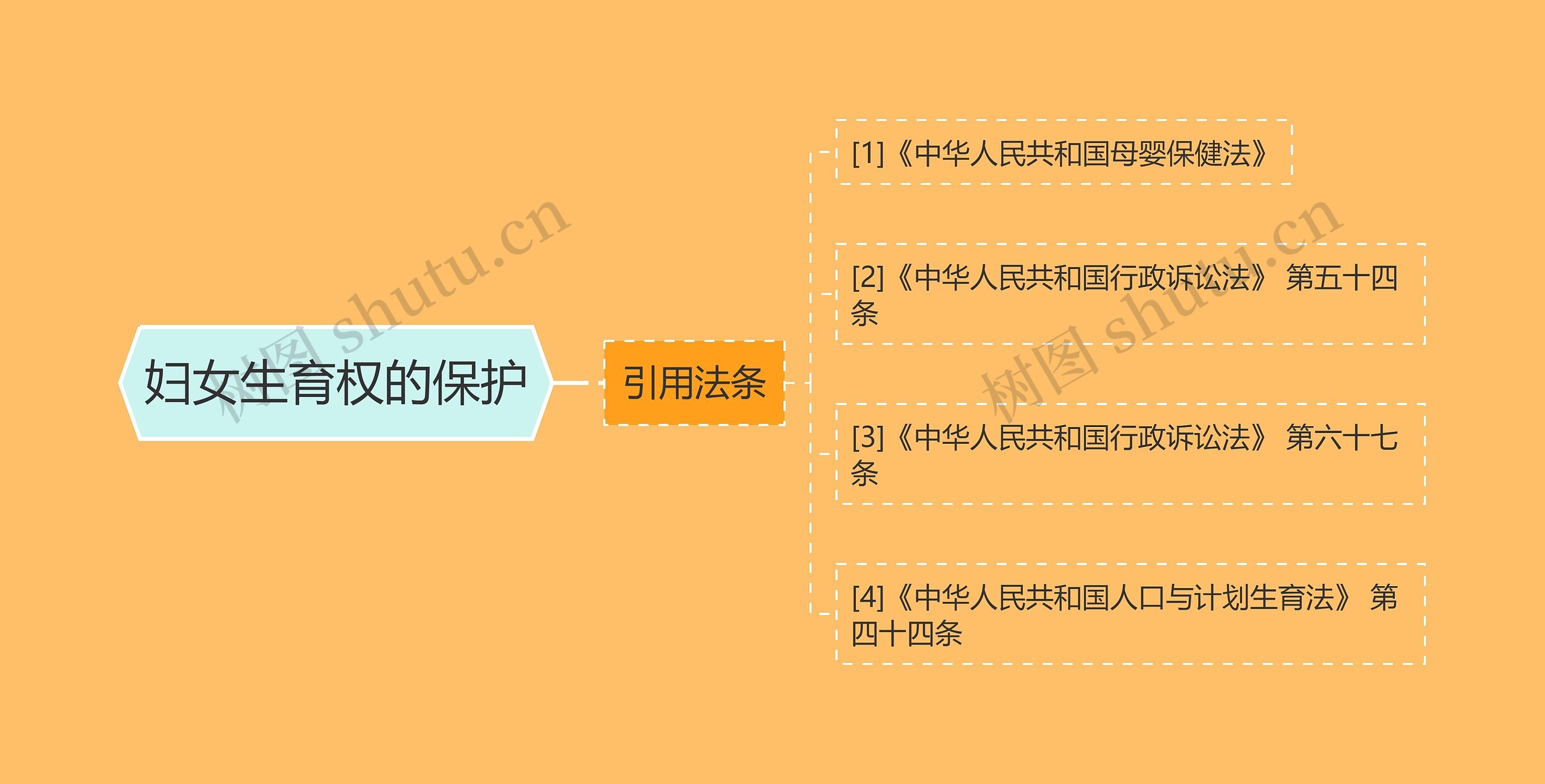 妇女生育权的保护 妇女生育权的保护