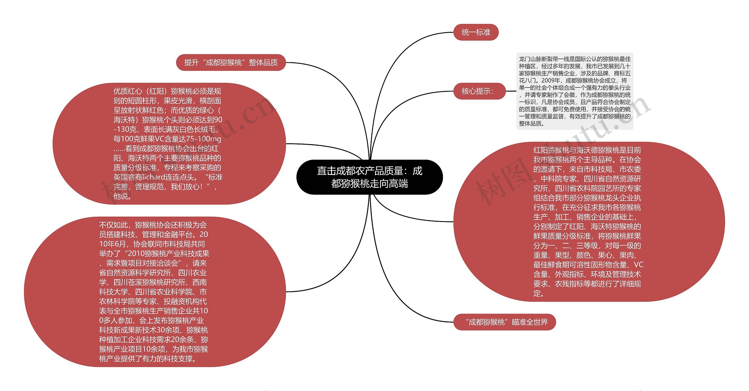 直击成都农产品质量：成都猕猴桃走向高端