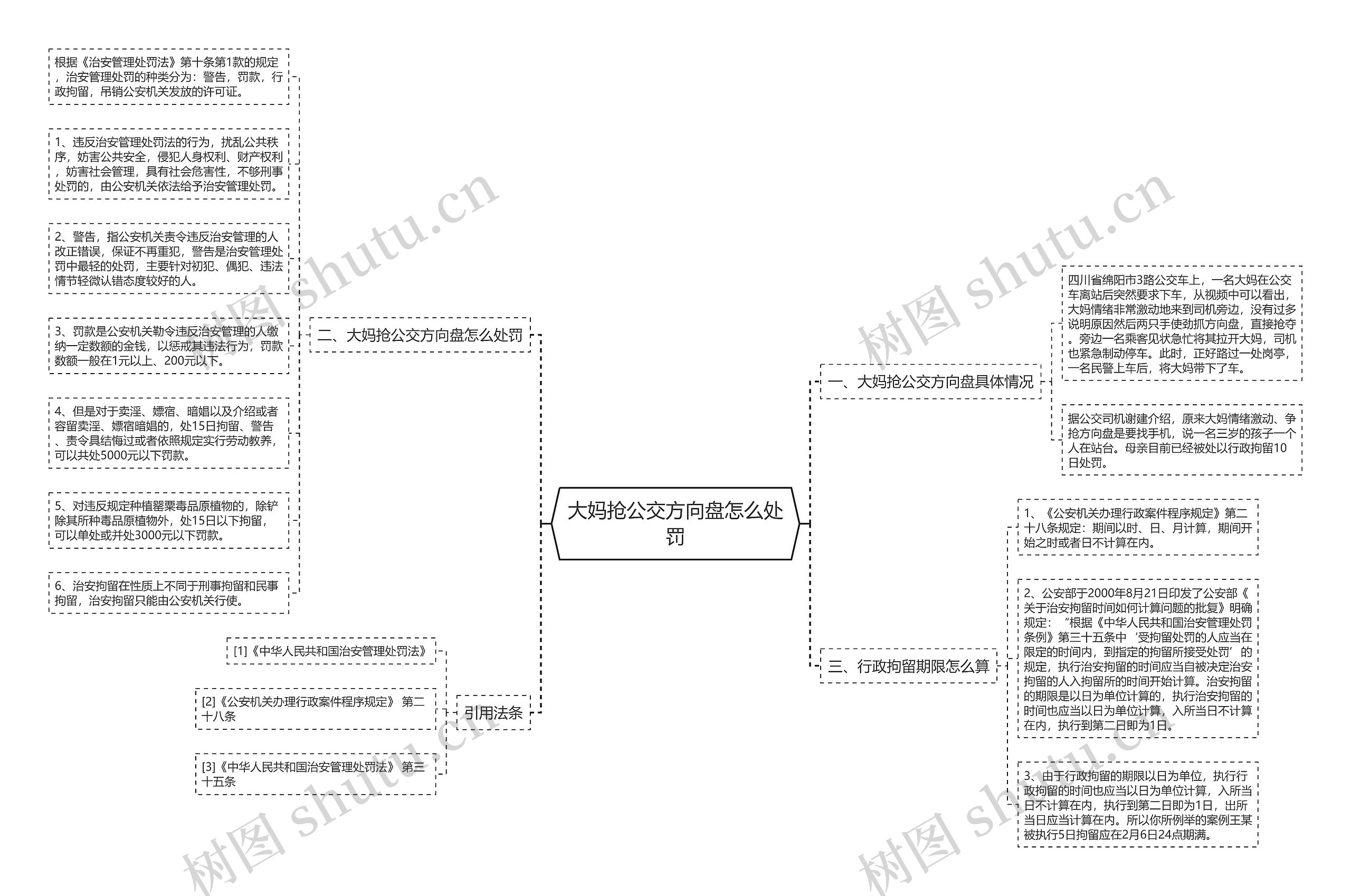 大妈抢公交方向盘怎么处罚思维导图