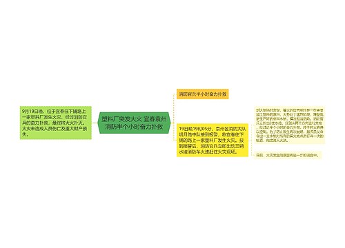 塑料厂突发大火 宜春袁州消防半个小时奋力扑救