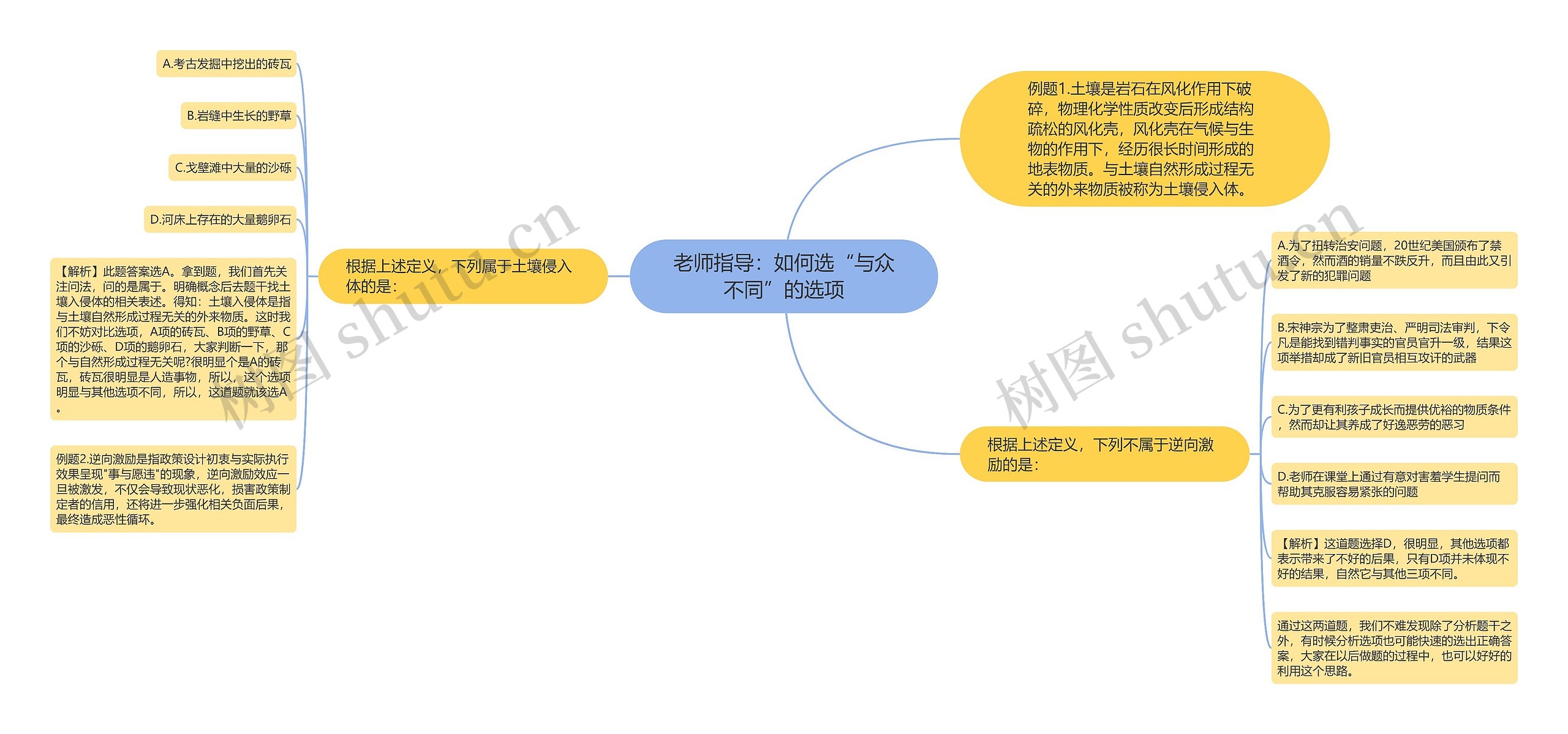 老师指导：如何选“与众不同”的选项思维导图