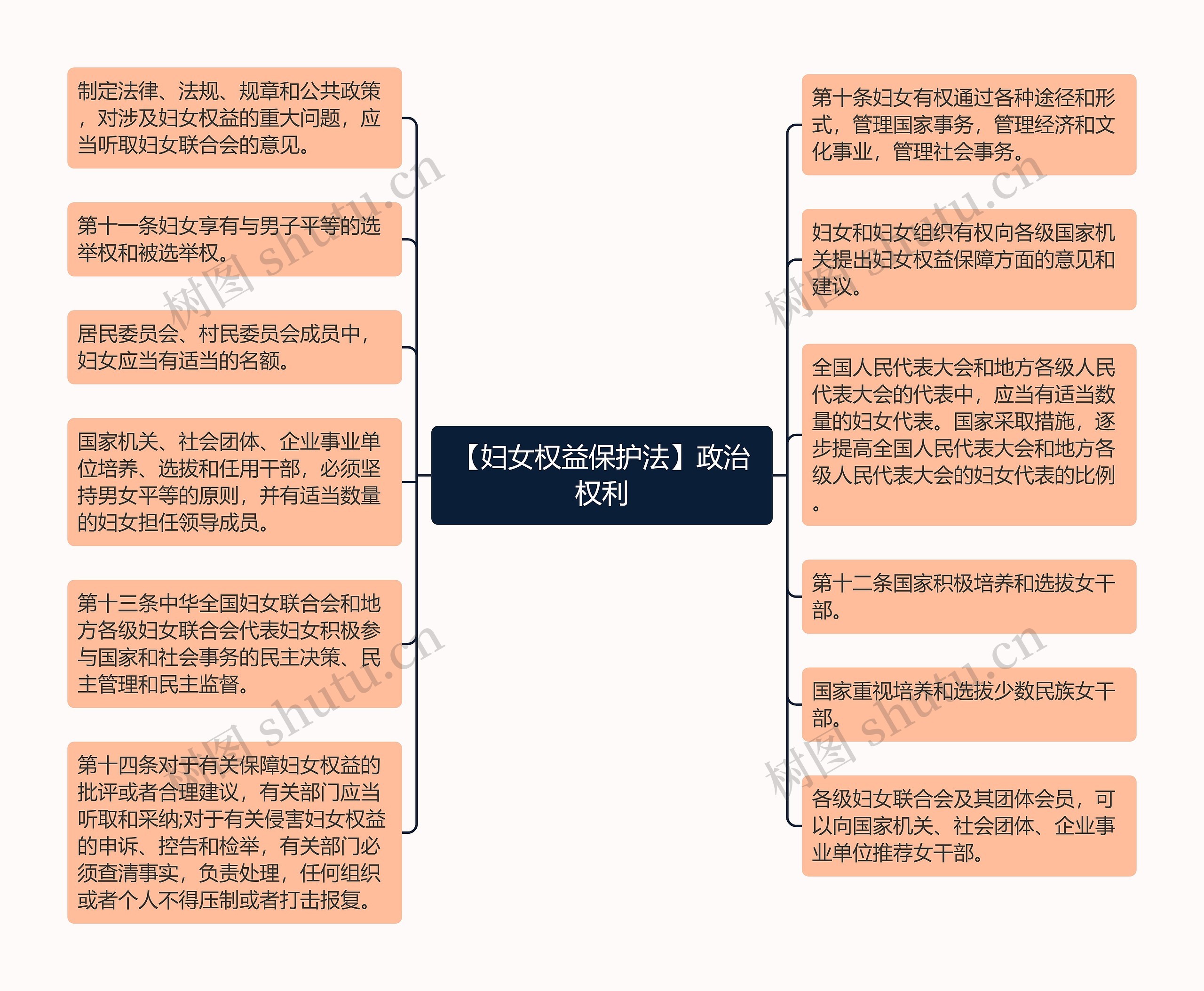 【妇女权益保护法】政治权利