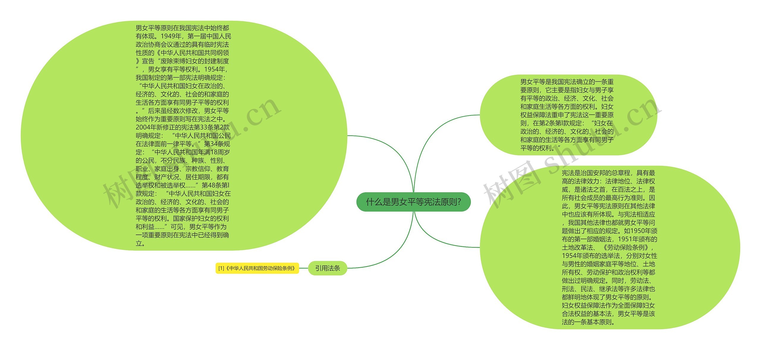 什么是男女平等宪法原则?思维导图